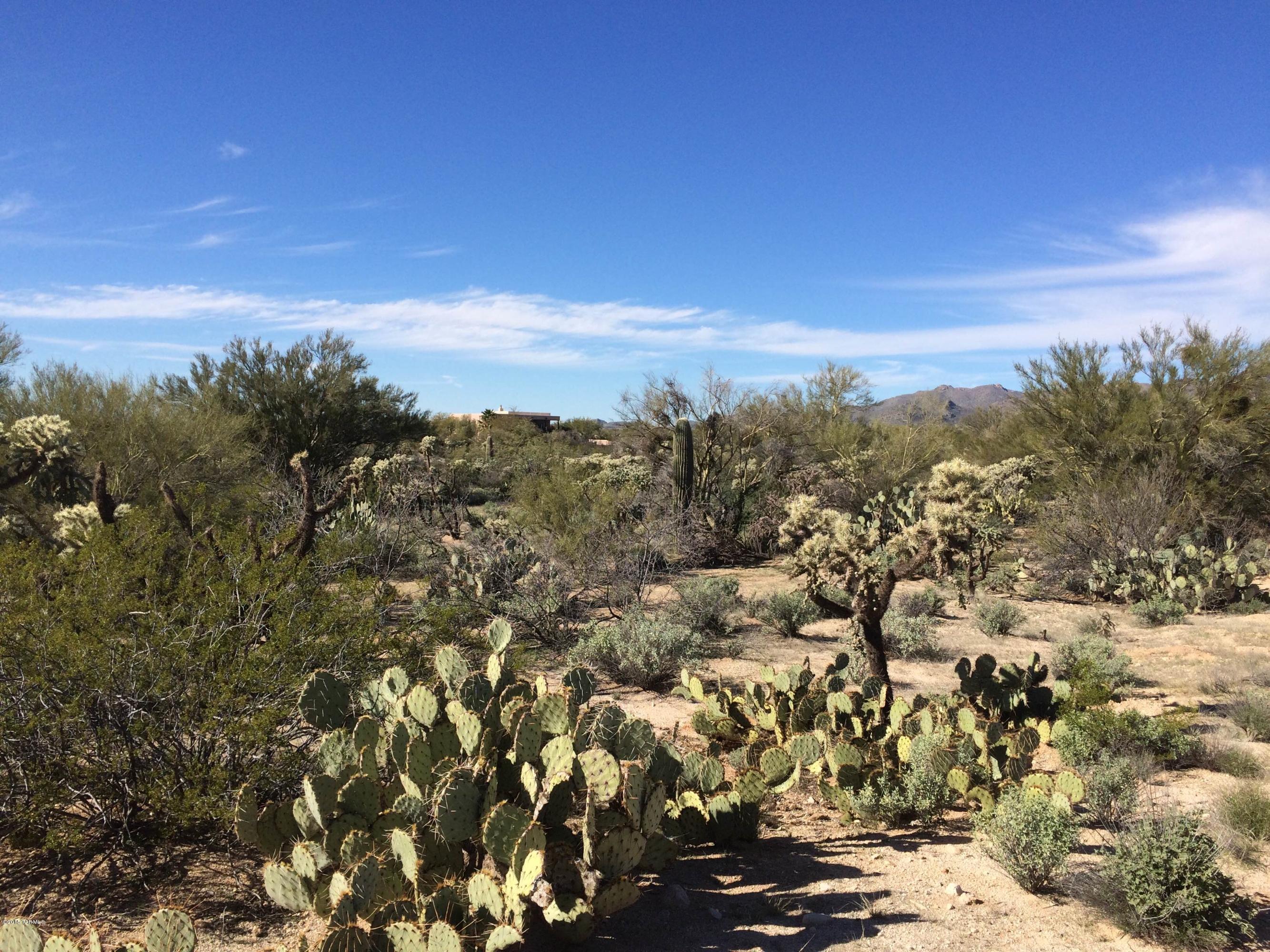 Natural desert land - cactus abounds - near and next to custom built homes on similar size lots.  Perfect homesite for your dream home.