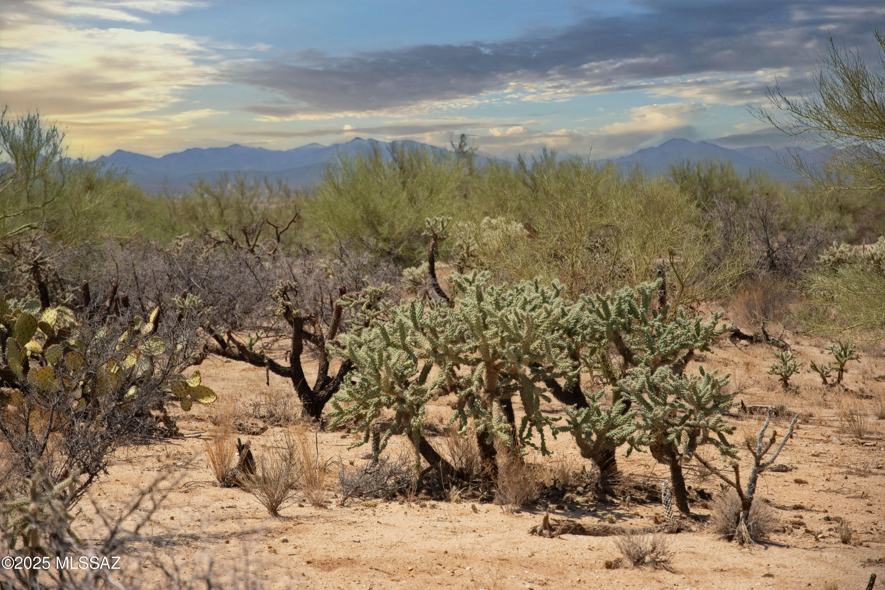 Lush 2.88 acres of panoramic views of the desert, mountains and Kit Peak Observatory. Utilities on property line on this corner lot. Go walk this beautiful lot and start building your dream home.