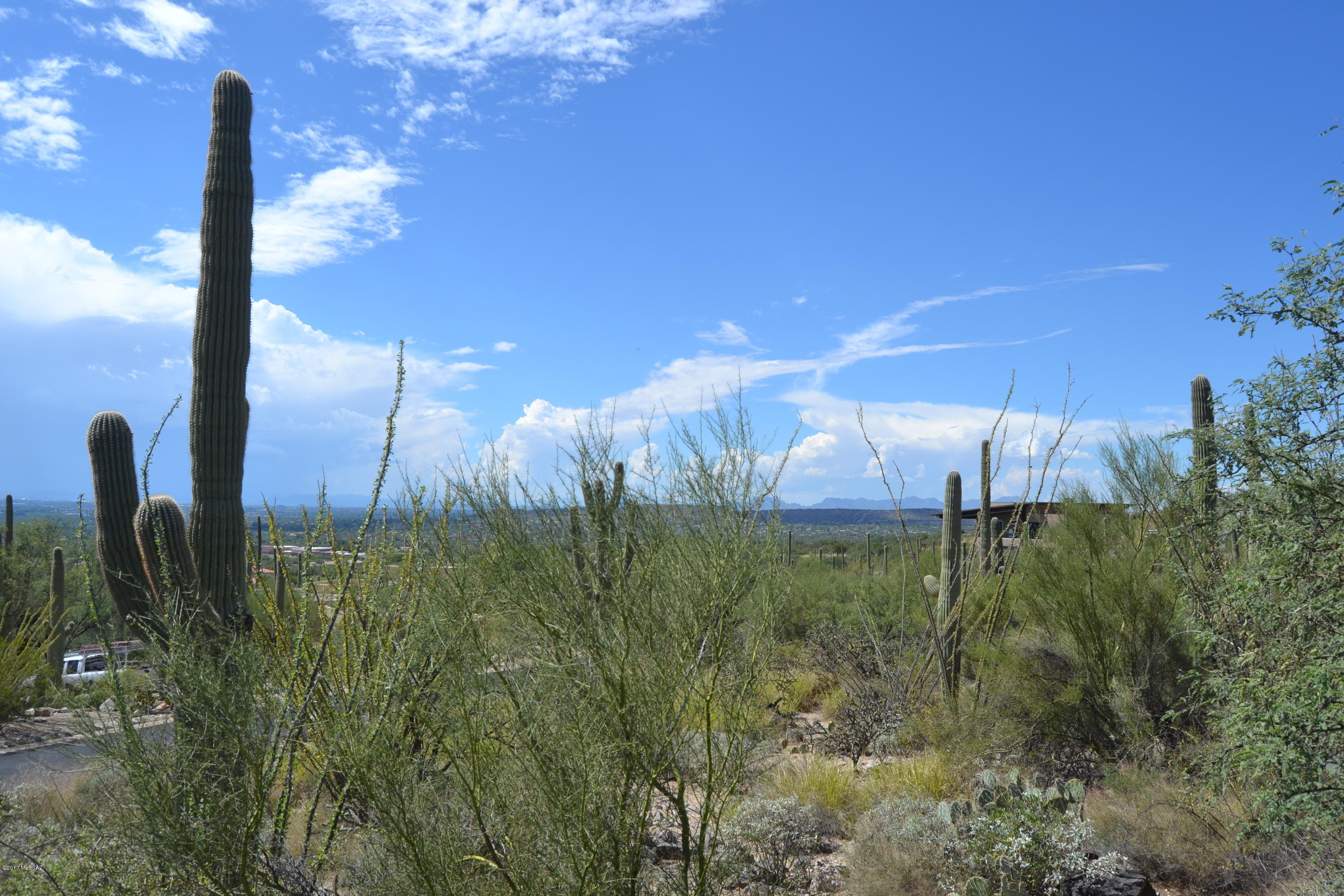 Sabino Estates (1-45) - Land