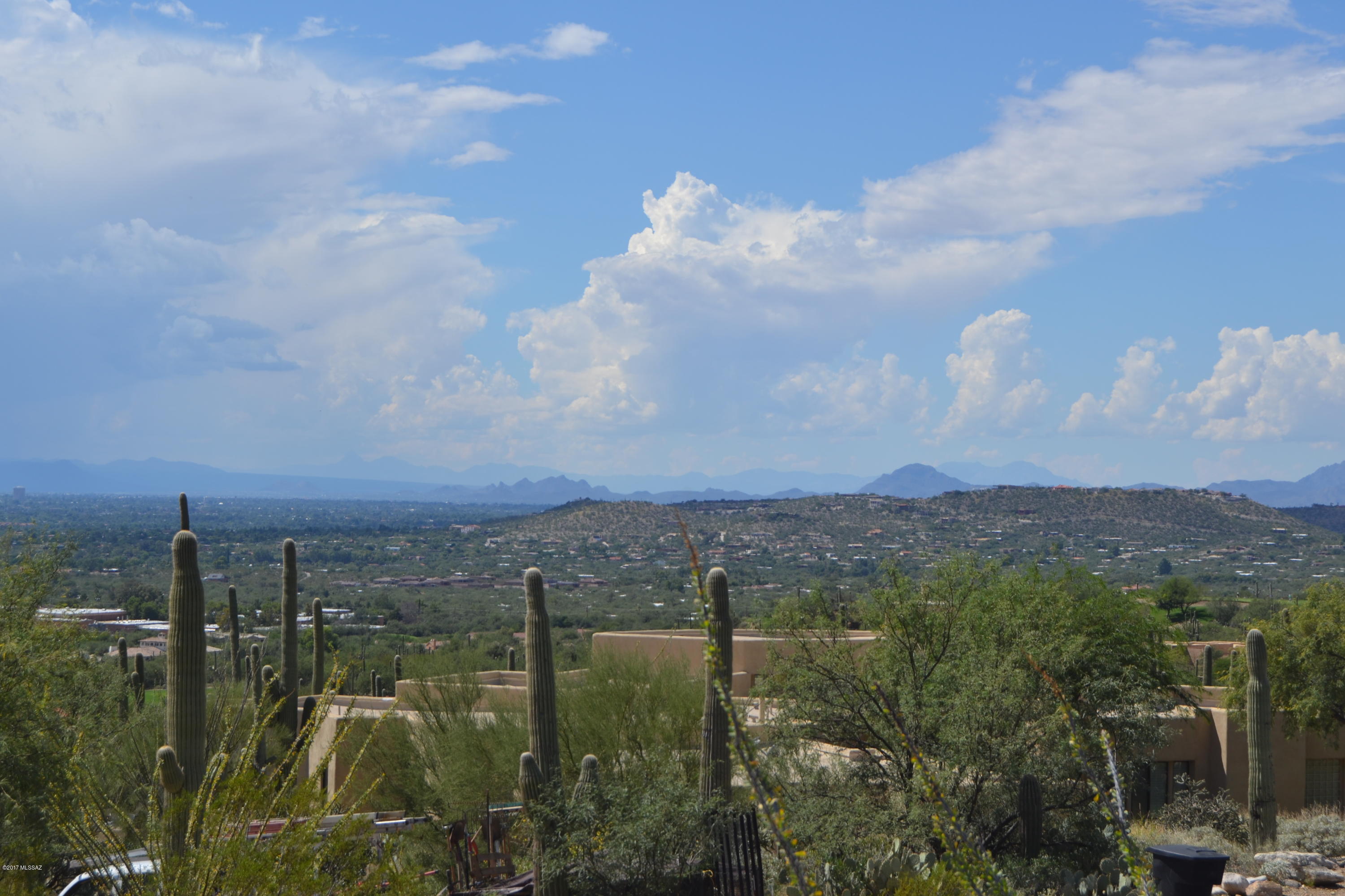 Sabino Estates (1-45) - Land