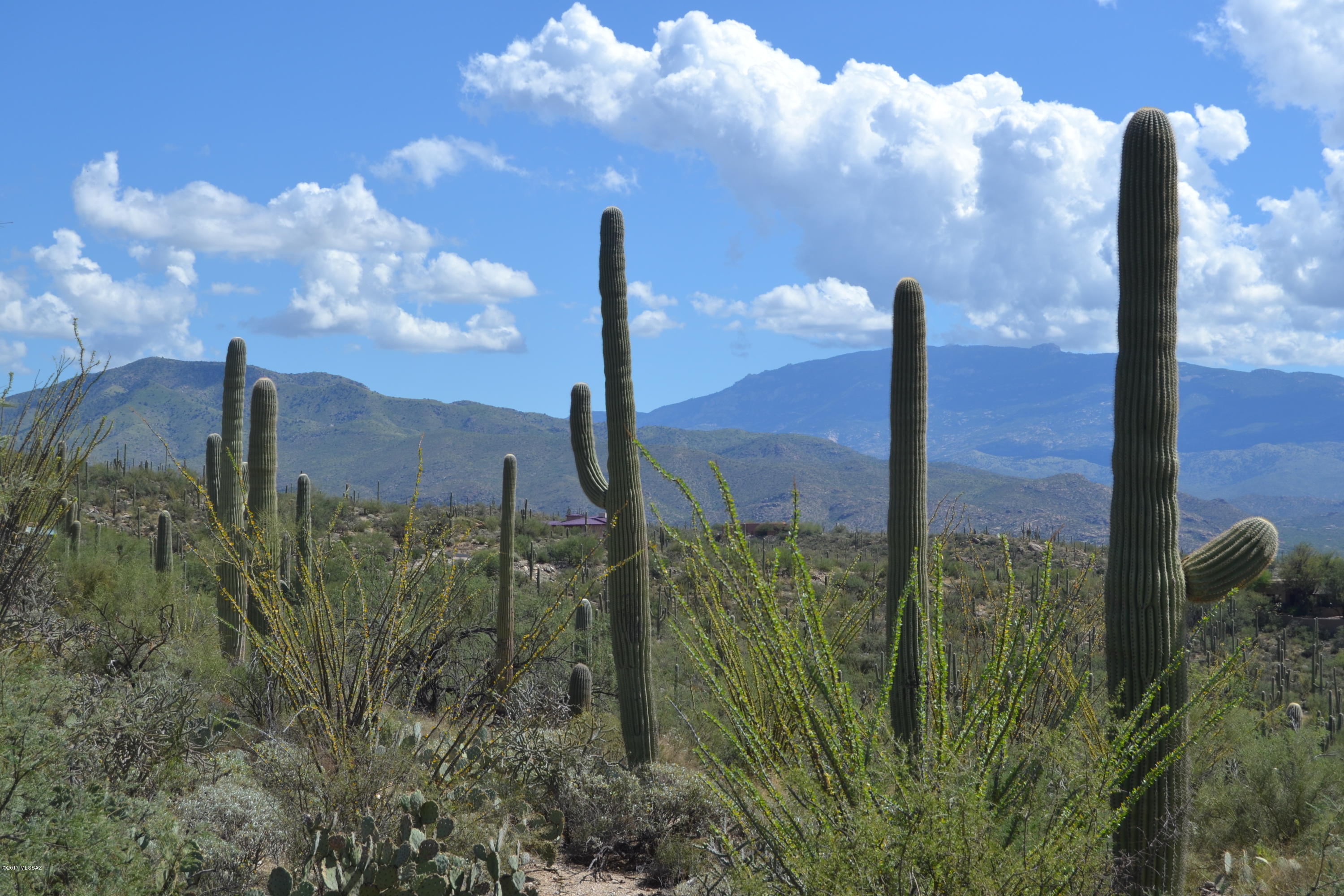 Sabino Estates (1-45) - Land