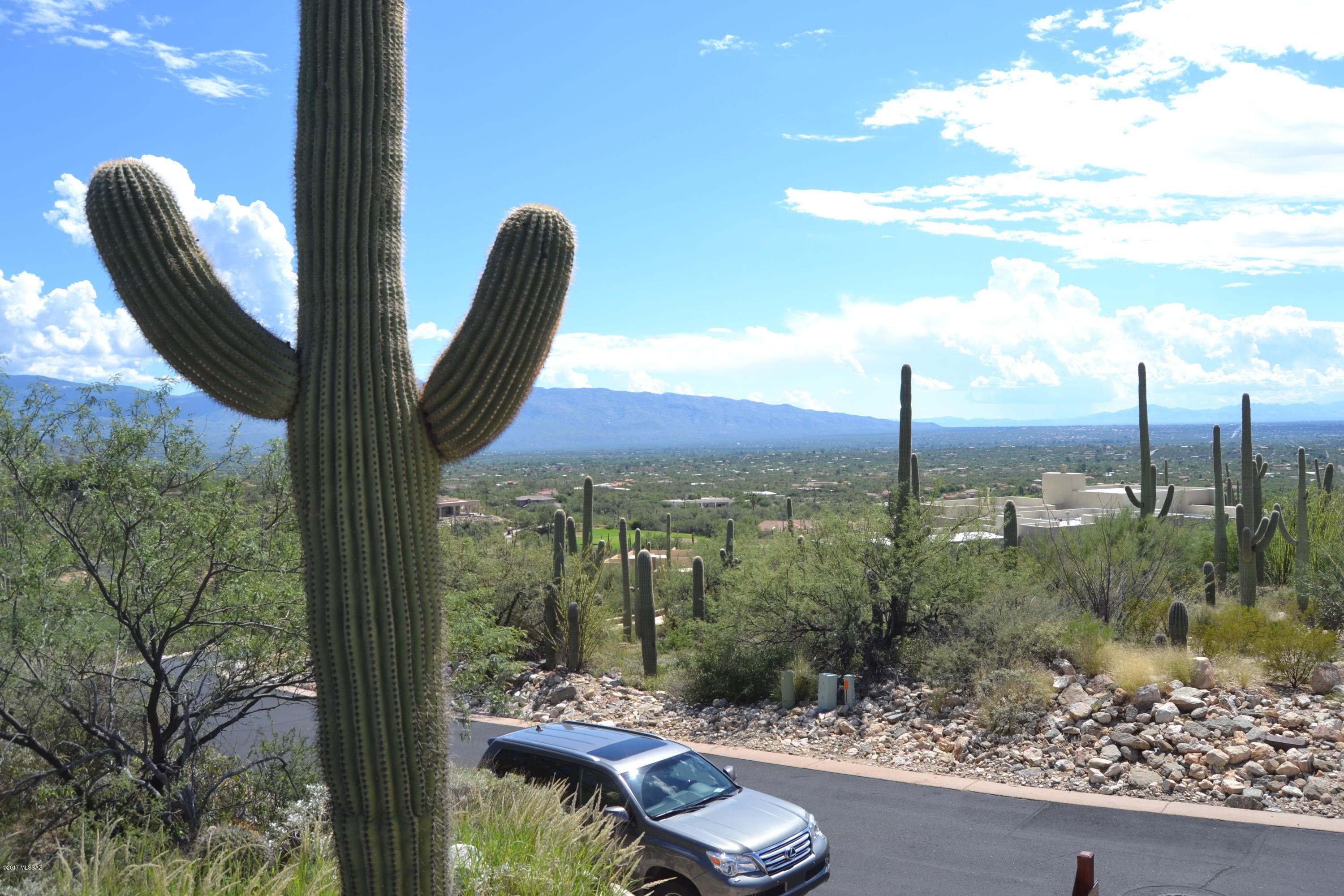 Sabino Estates (1-45) - Land