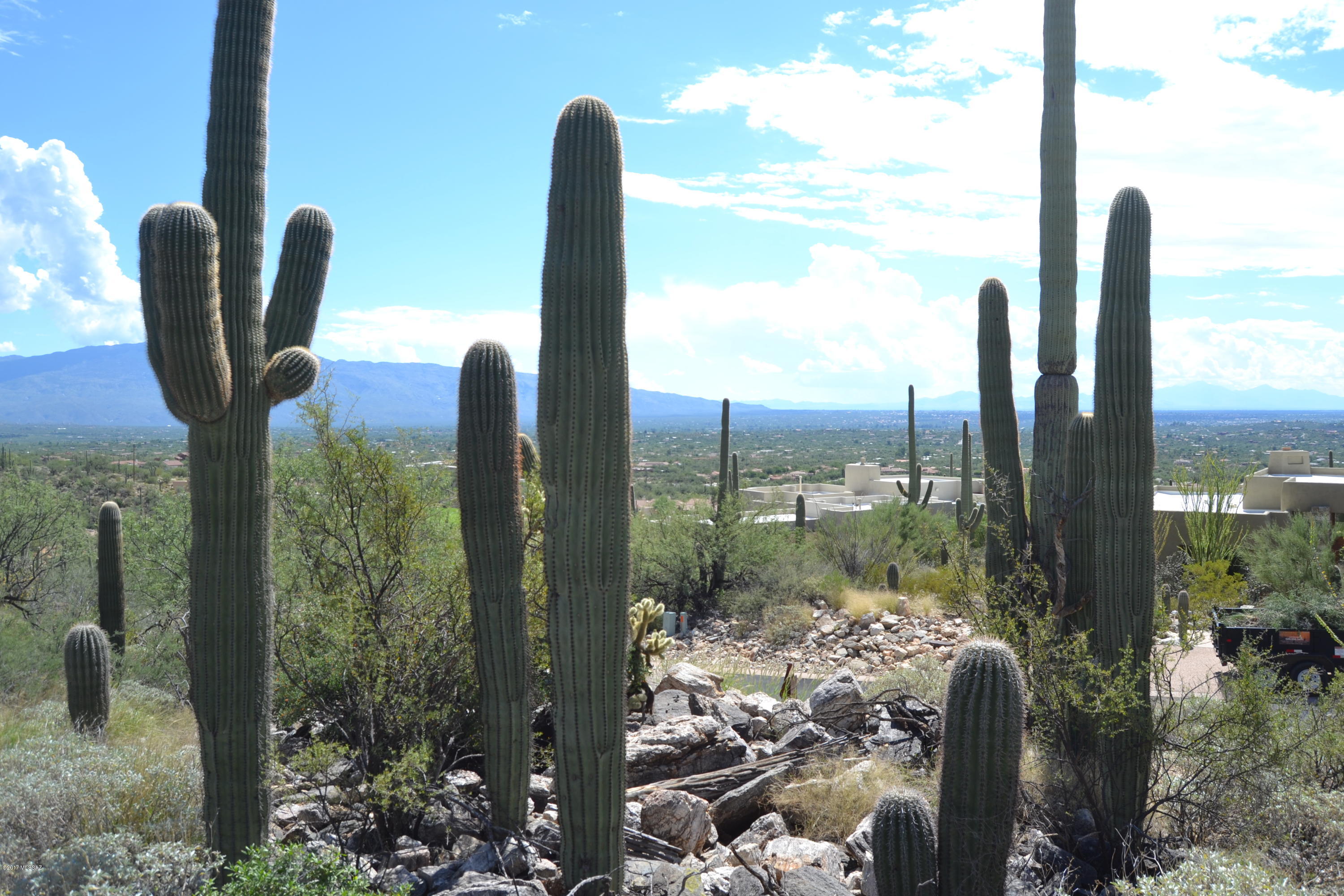 Sabino Estates (1-45) - Land