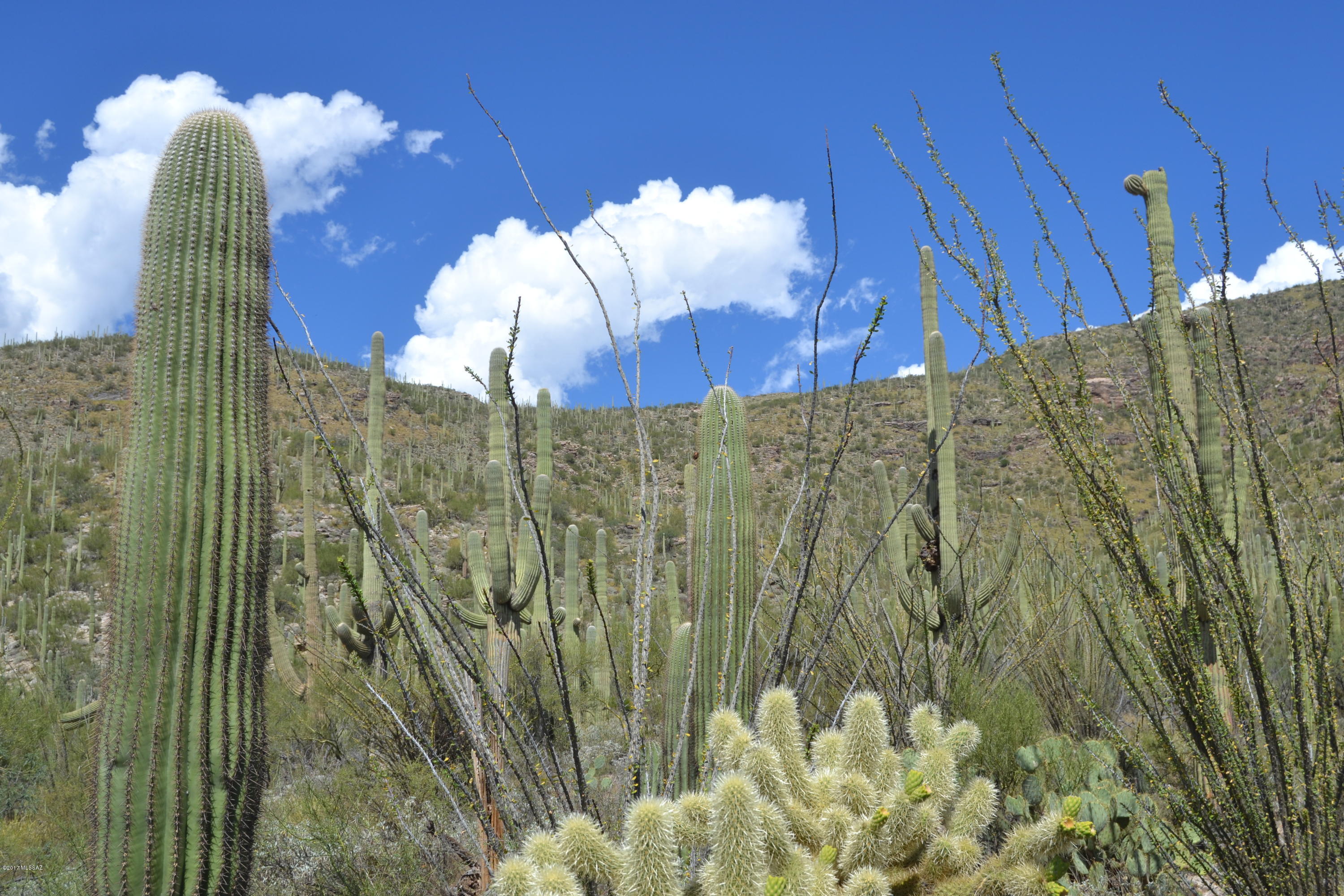 Sabino Estates (1-45) - Land