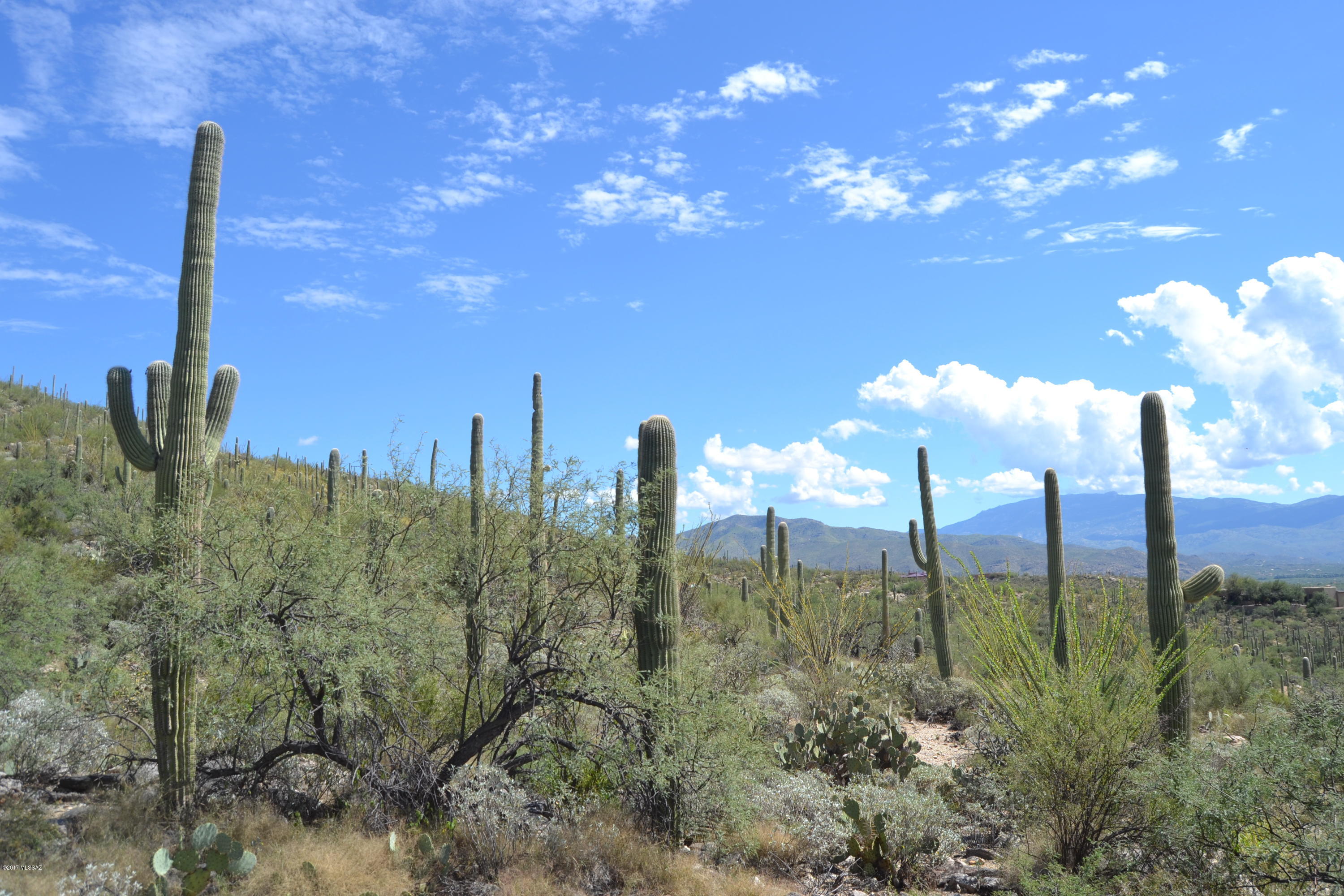 Sabino Estates (1-45) - Land