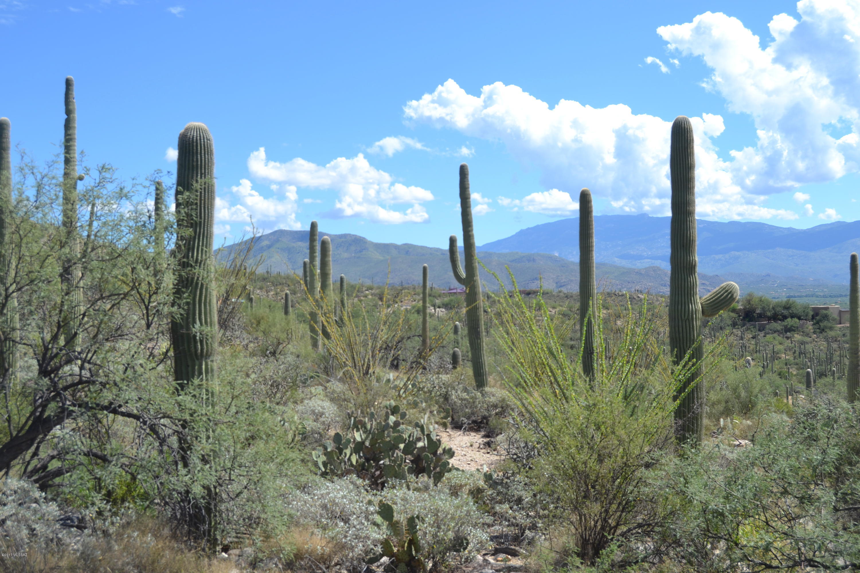 Sabino Estates (1-45) - Land