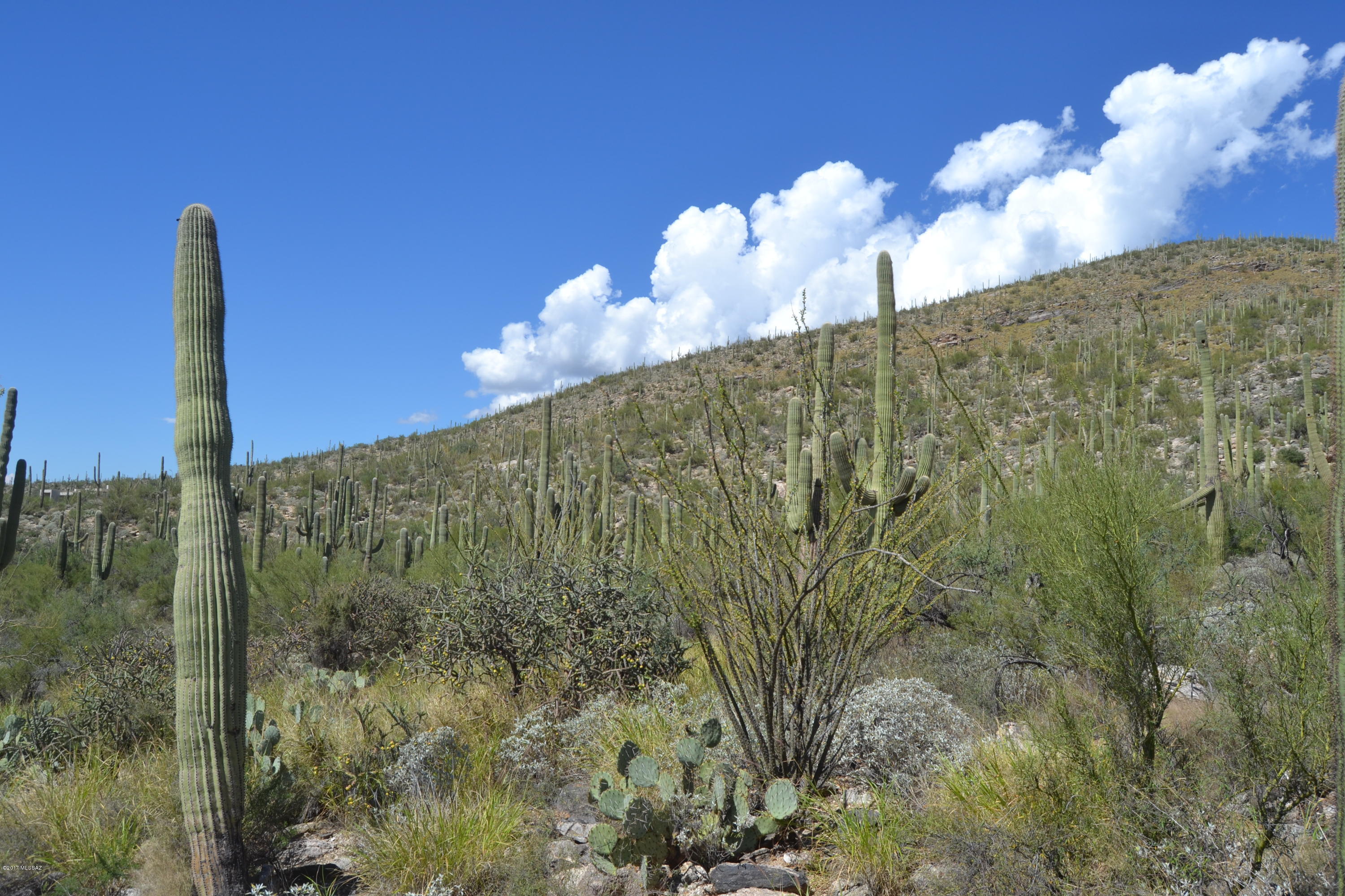 Sabino Estates (1-45) - Land