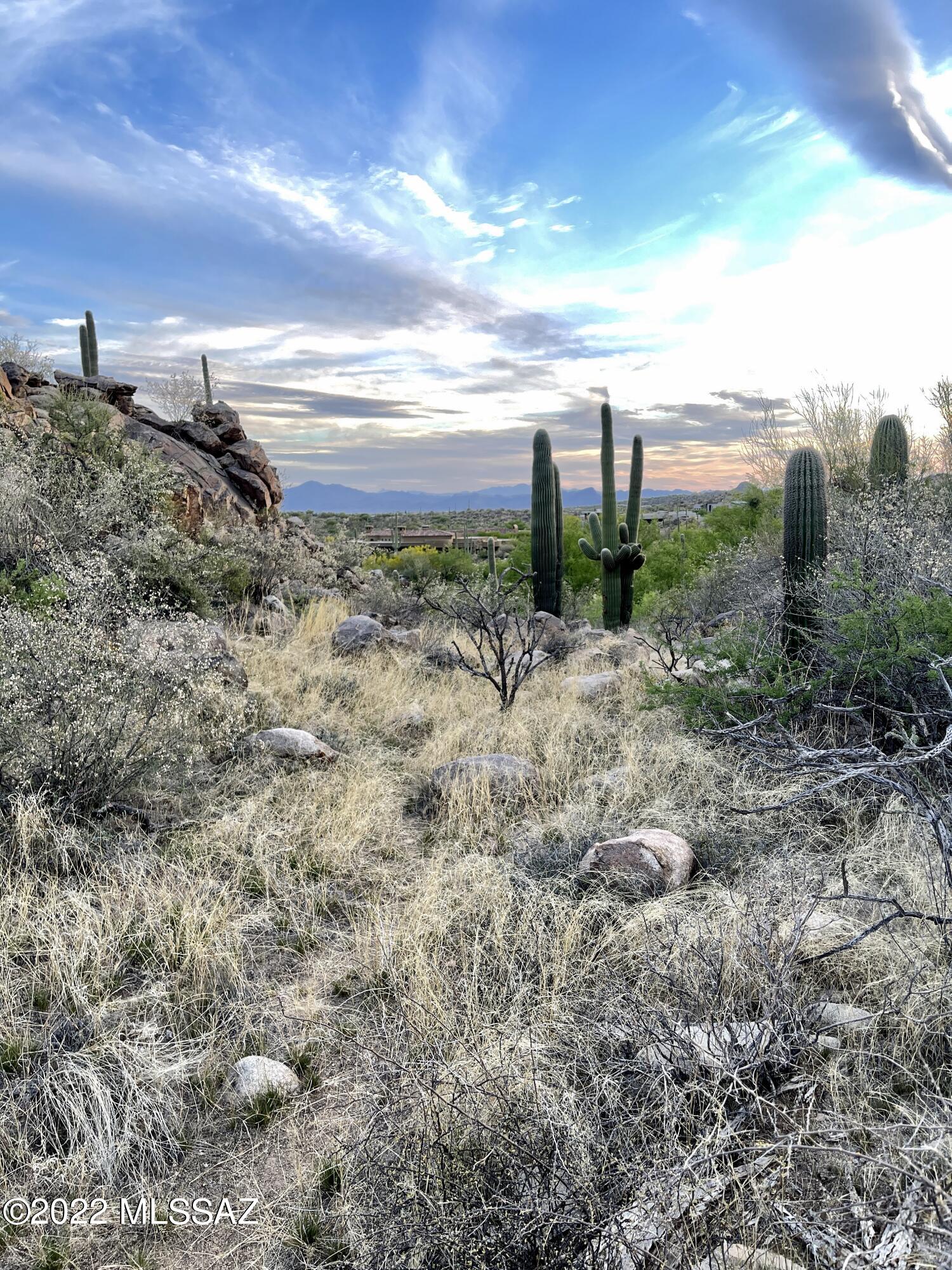 Stone Canyon IIA (134 & 397-403) - Land