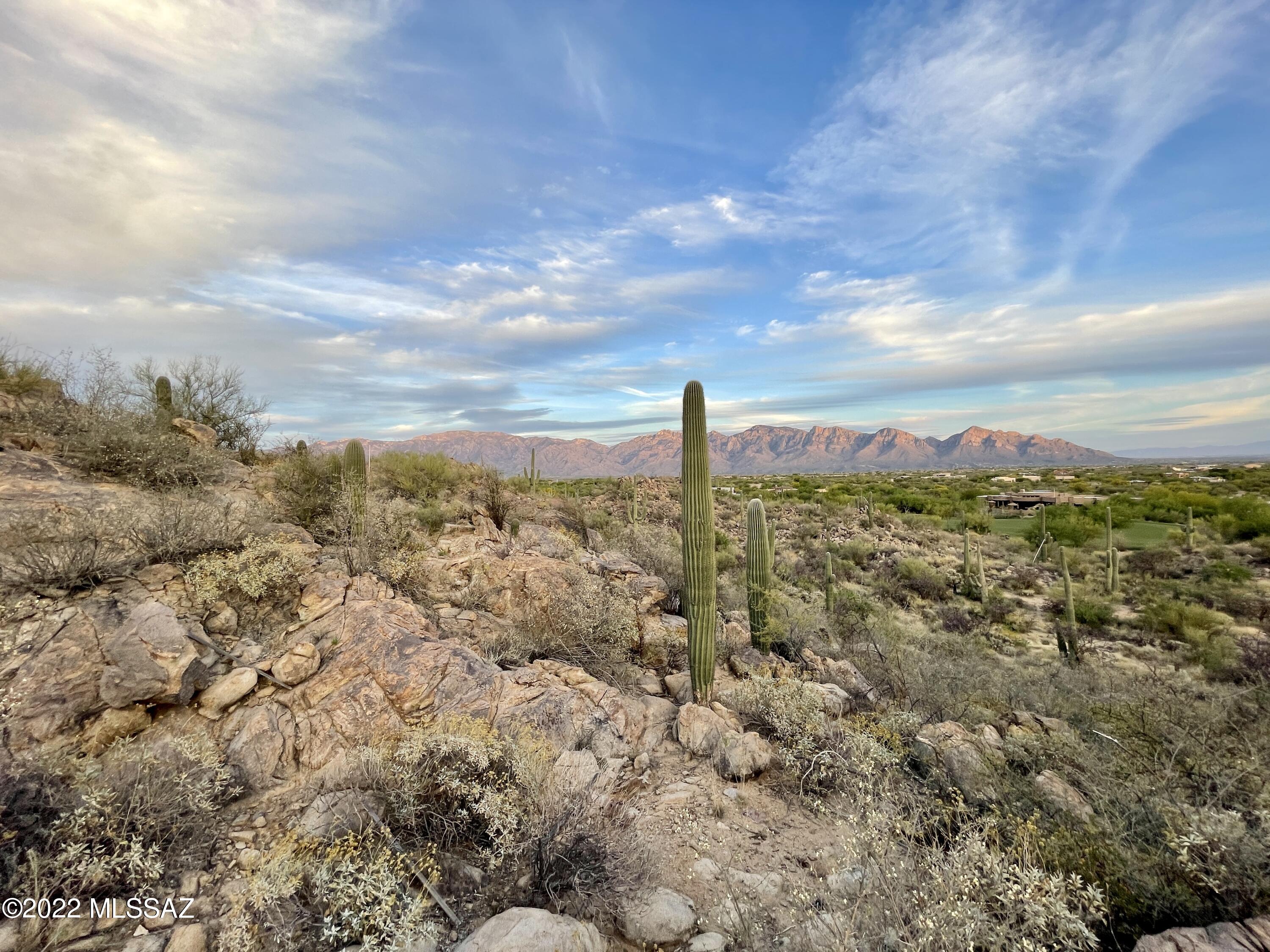 Stone Canyon IIA (134 & 397-403) - Land