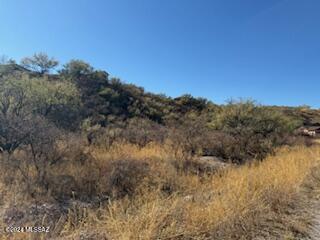 Rio Rico Estates - Land