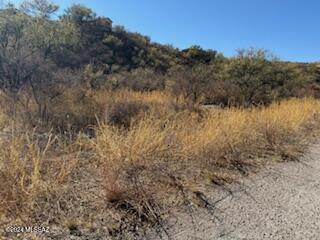Rio Rico Estates - Land