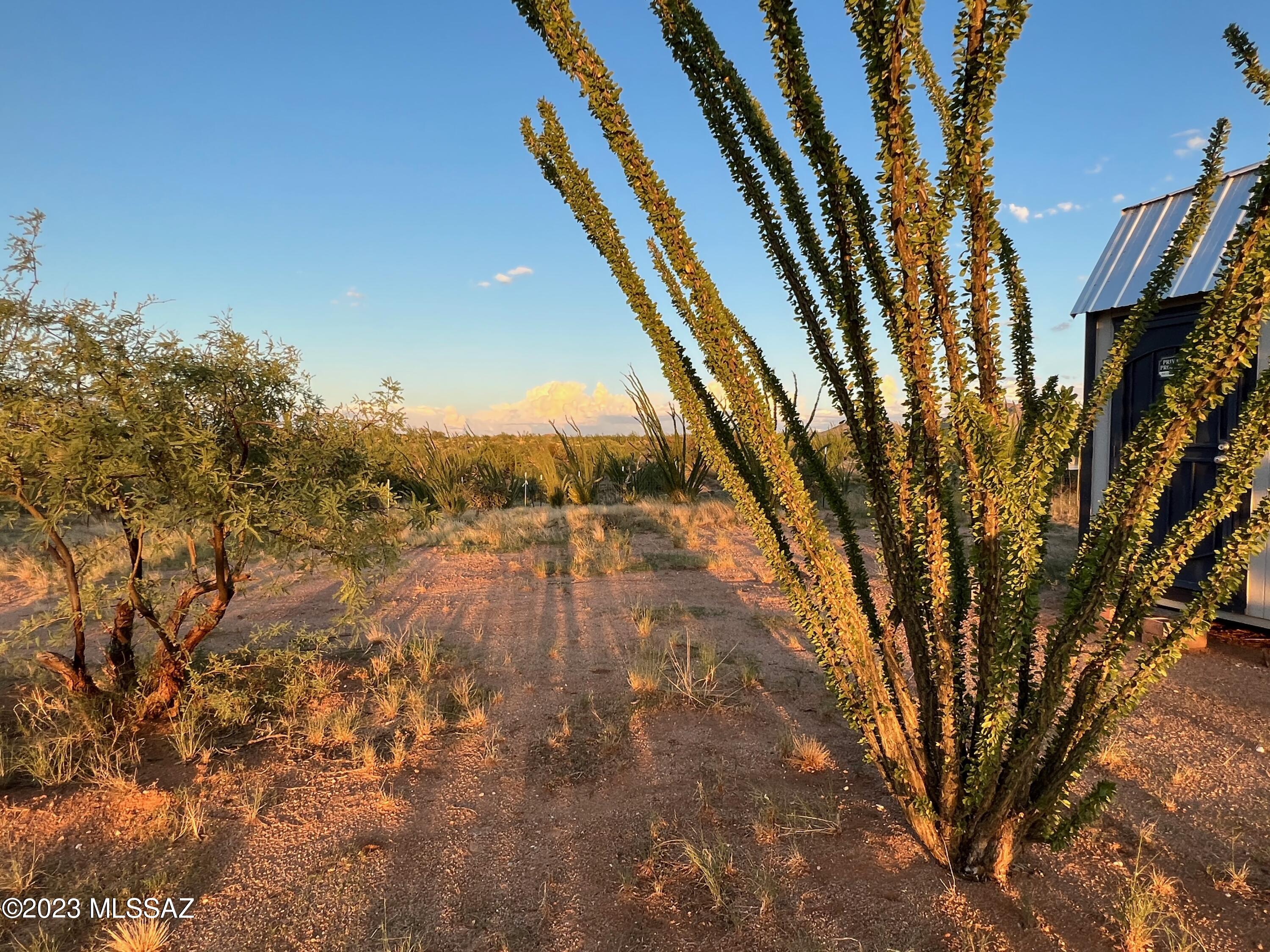 Diamond Bell Ranch - Tucson Unit 7 (1-416) - Land