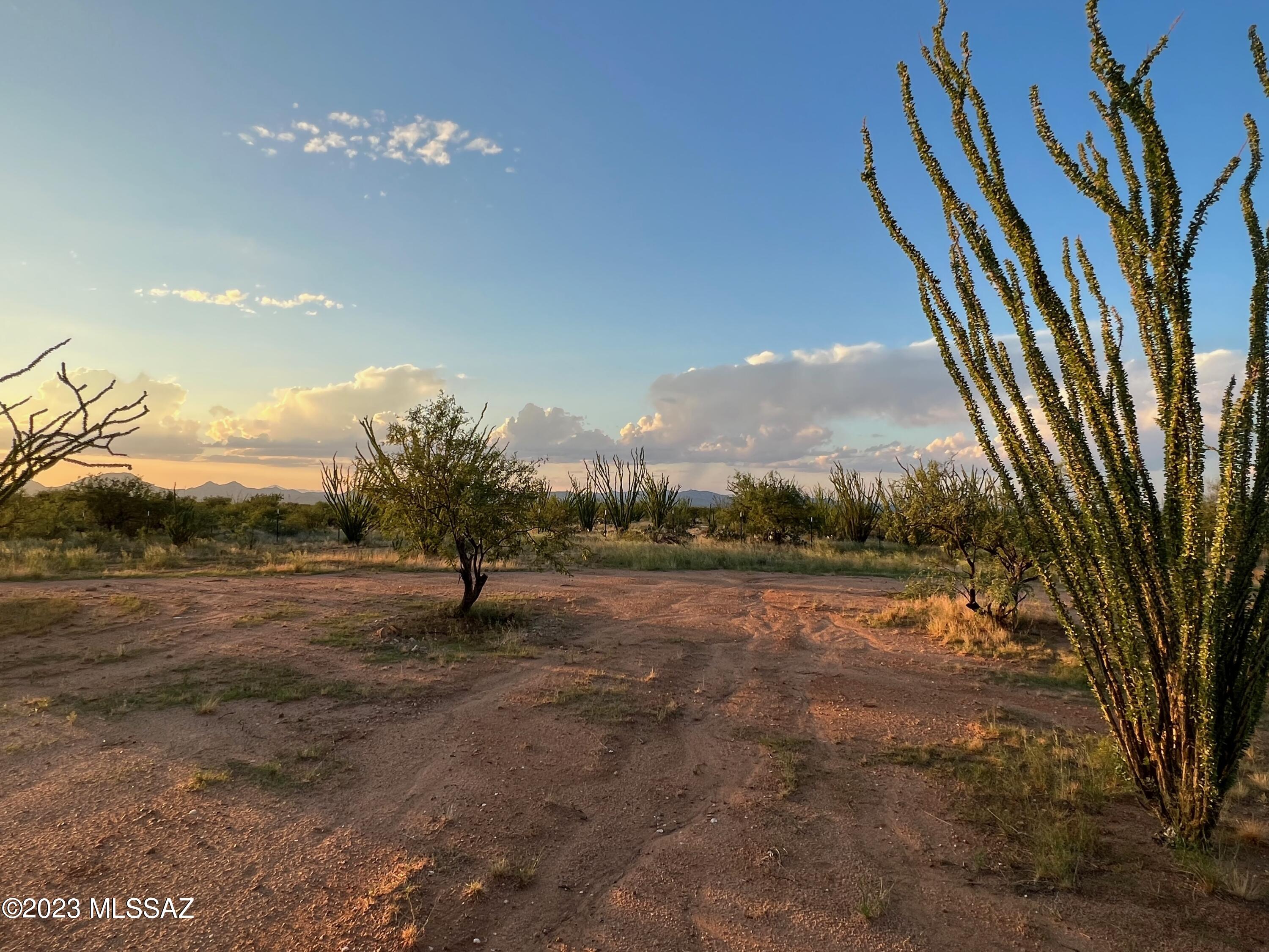 Diamond Bell Ranch - Tucson Unit 7 (1-416) - Land