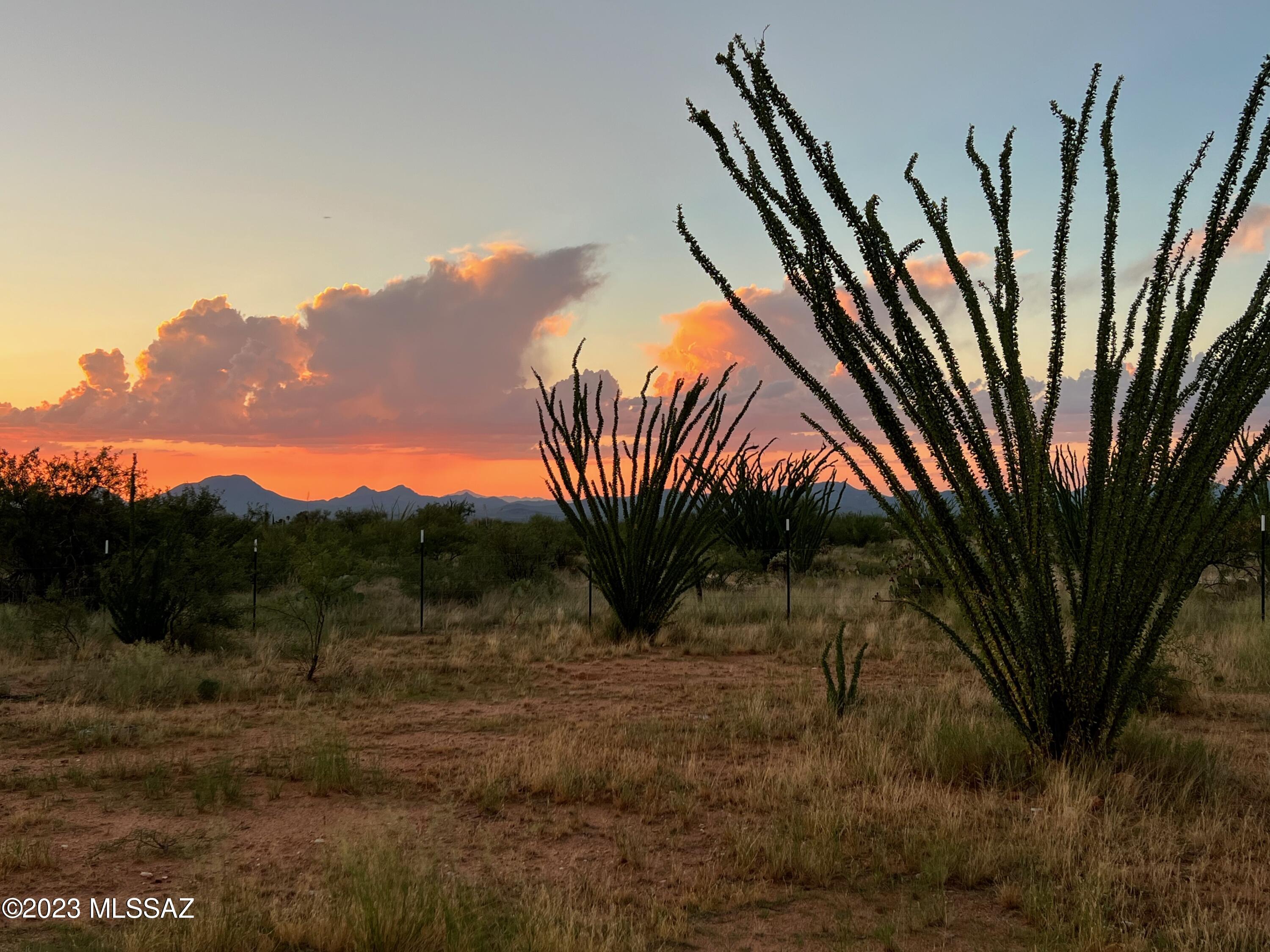 Diamond Bell Ranch - Tucson Unit 7 (1-416) - Land