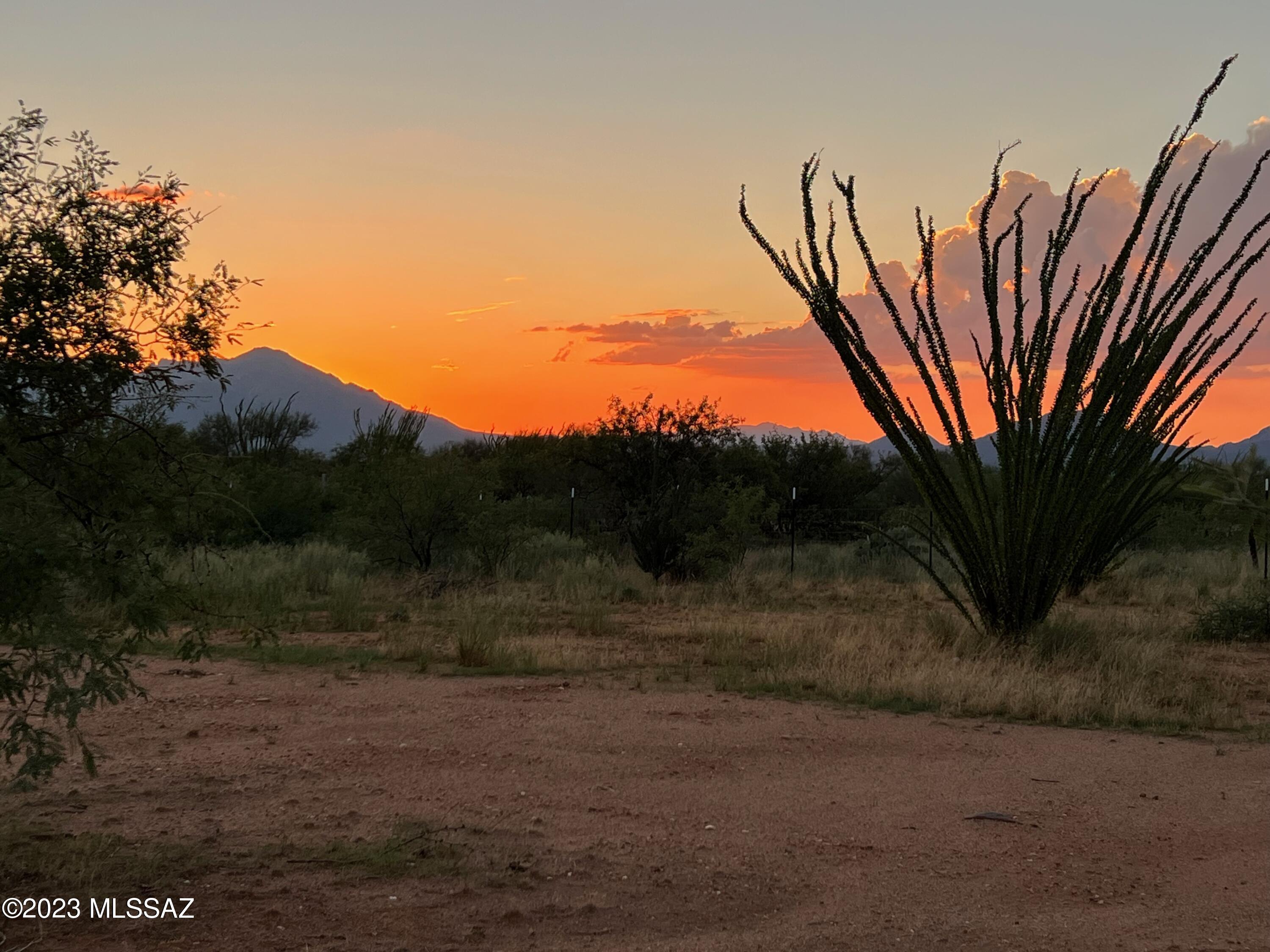 Diamond Bell Ranch - Tucson Unit 7 (1-416) - Land