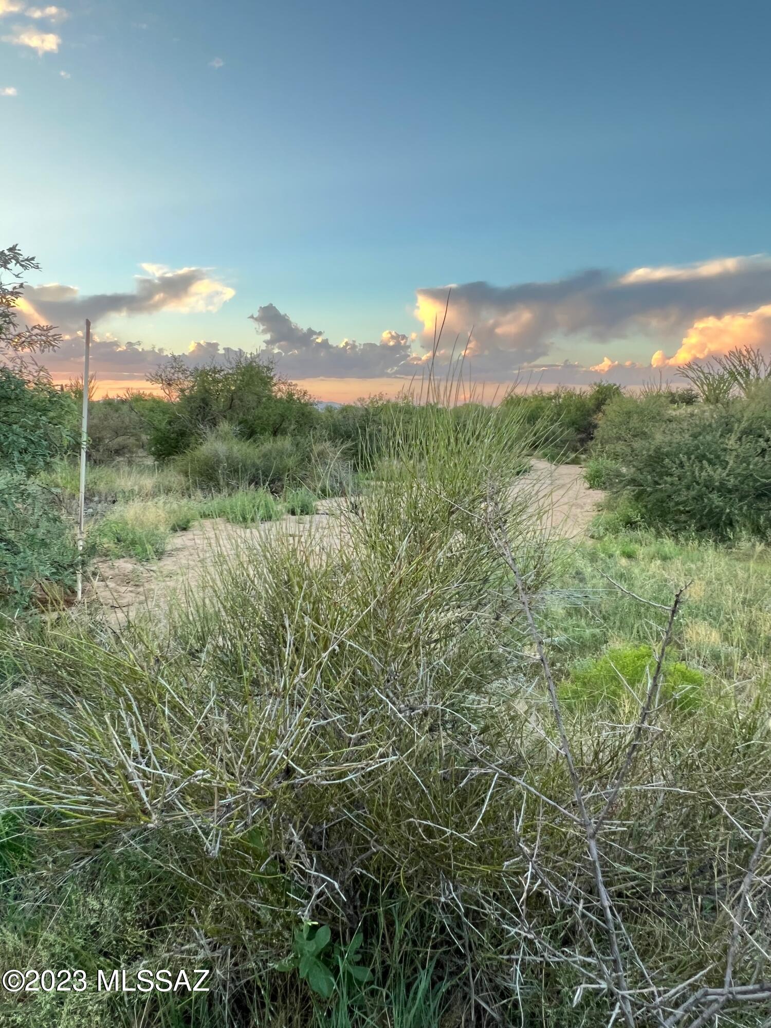 Diamond Bell Ranch - Tucson Unit 7 (1-416) - Land