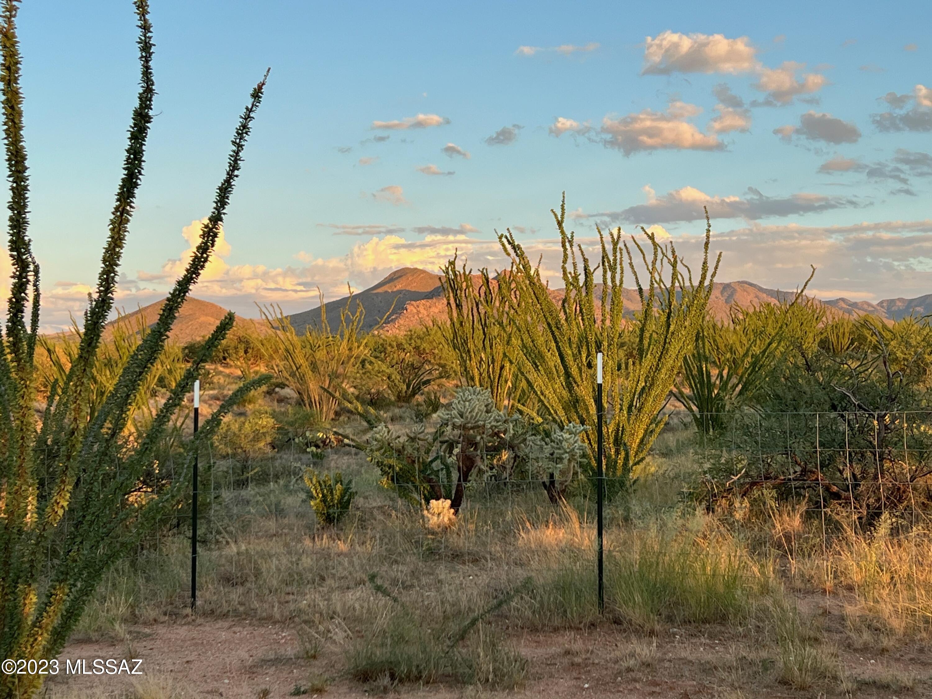 Diamond Bell Ranch - Tucson Unit 7 (1-416) - Land