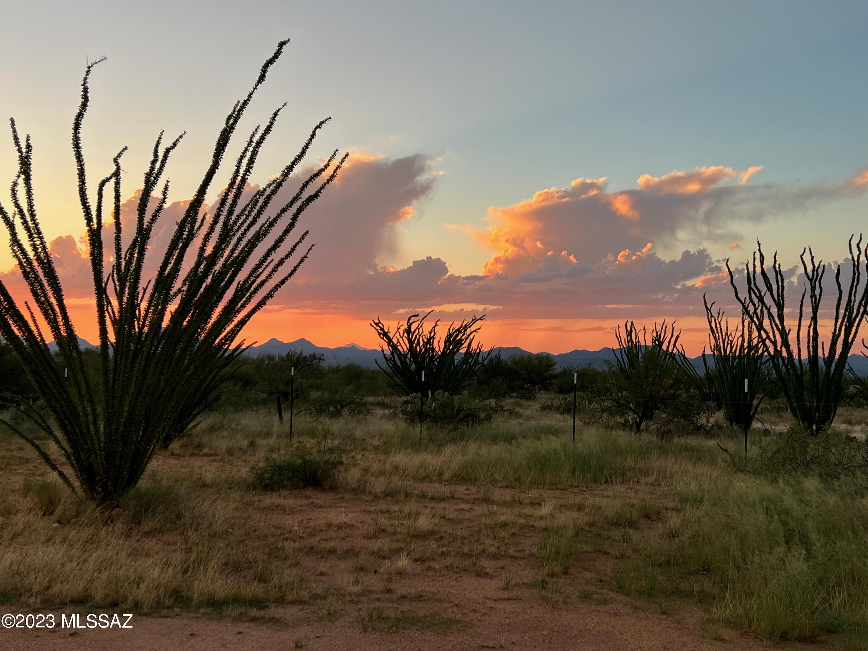 Diamond Bell Ranch - Tucson Unit 7 (1-416) - Land