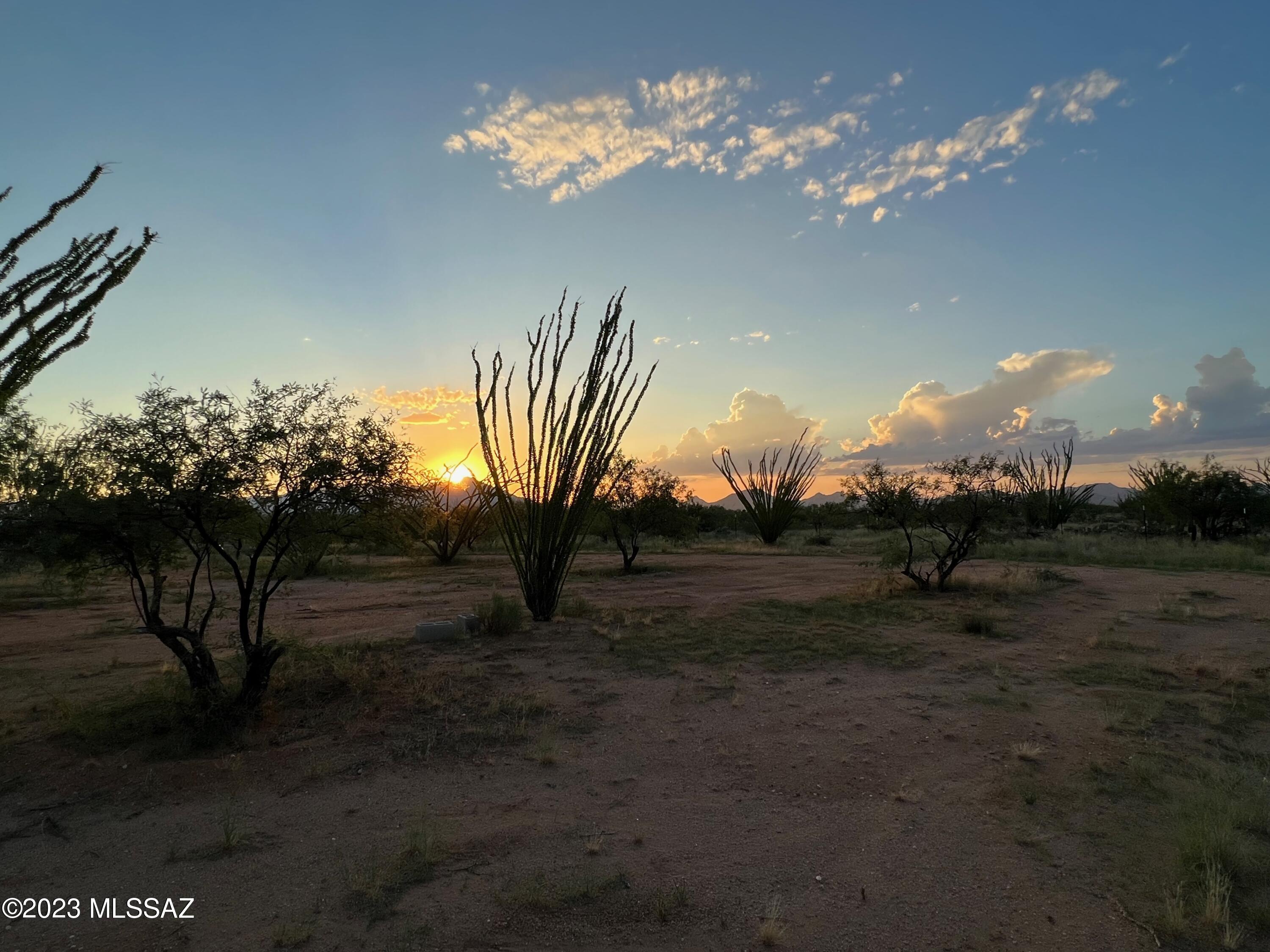 Diamond Bell Ranch - Tucson Unit 7 (1-416) - Land