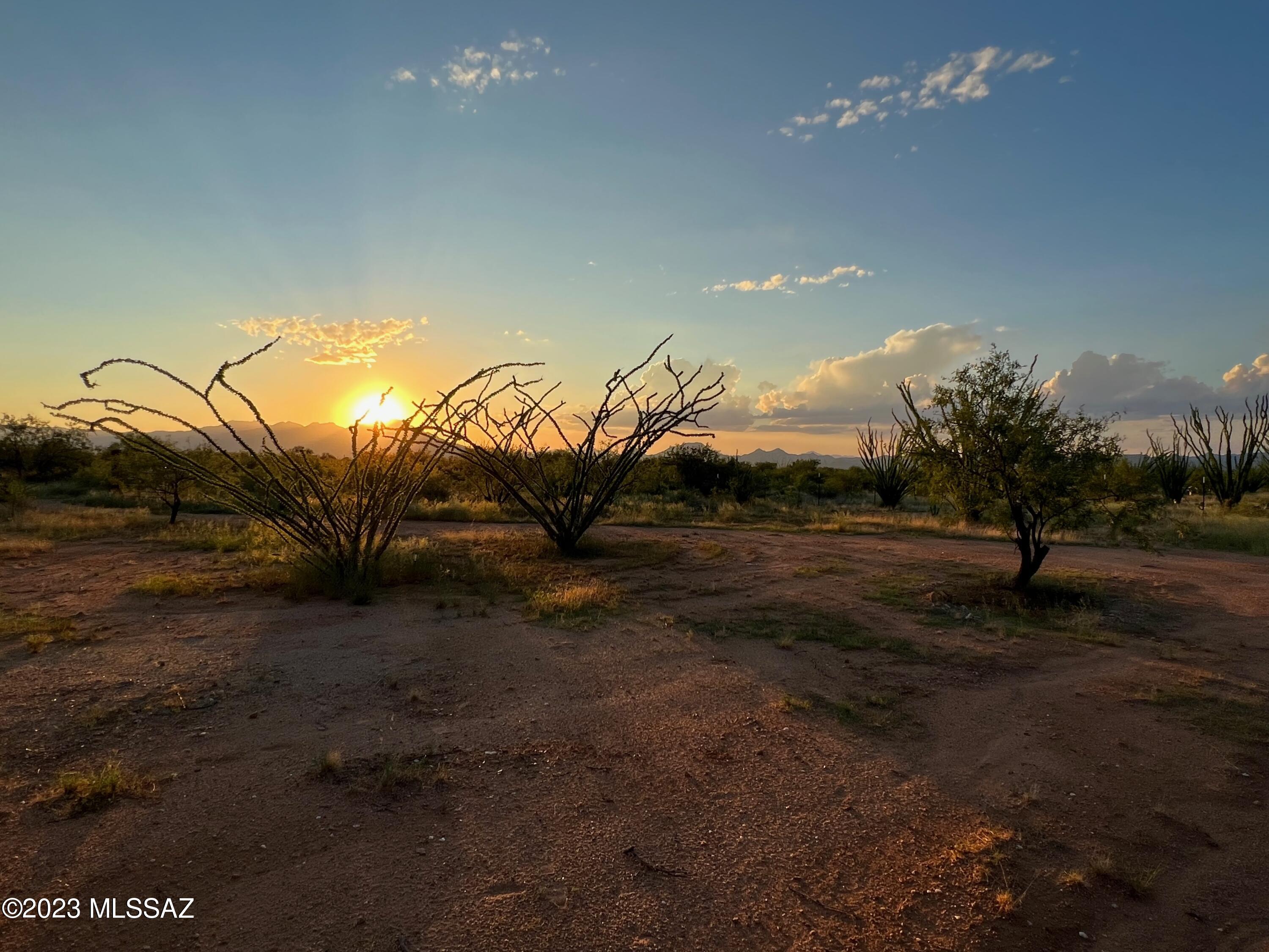 Diamond Bell Ranch - Tucson Unit 7 (1-416) - Land