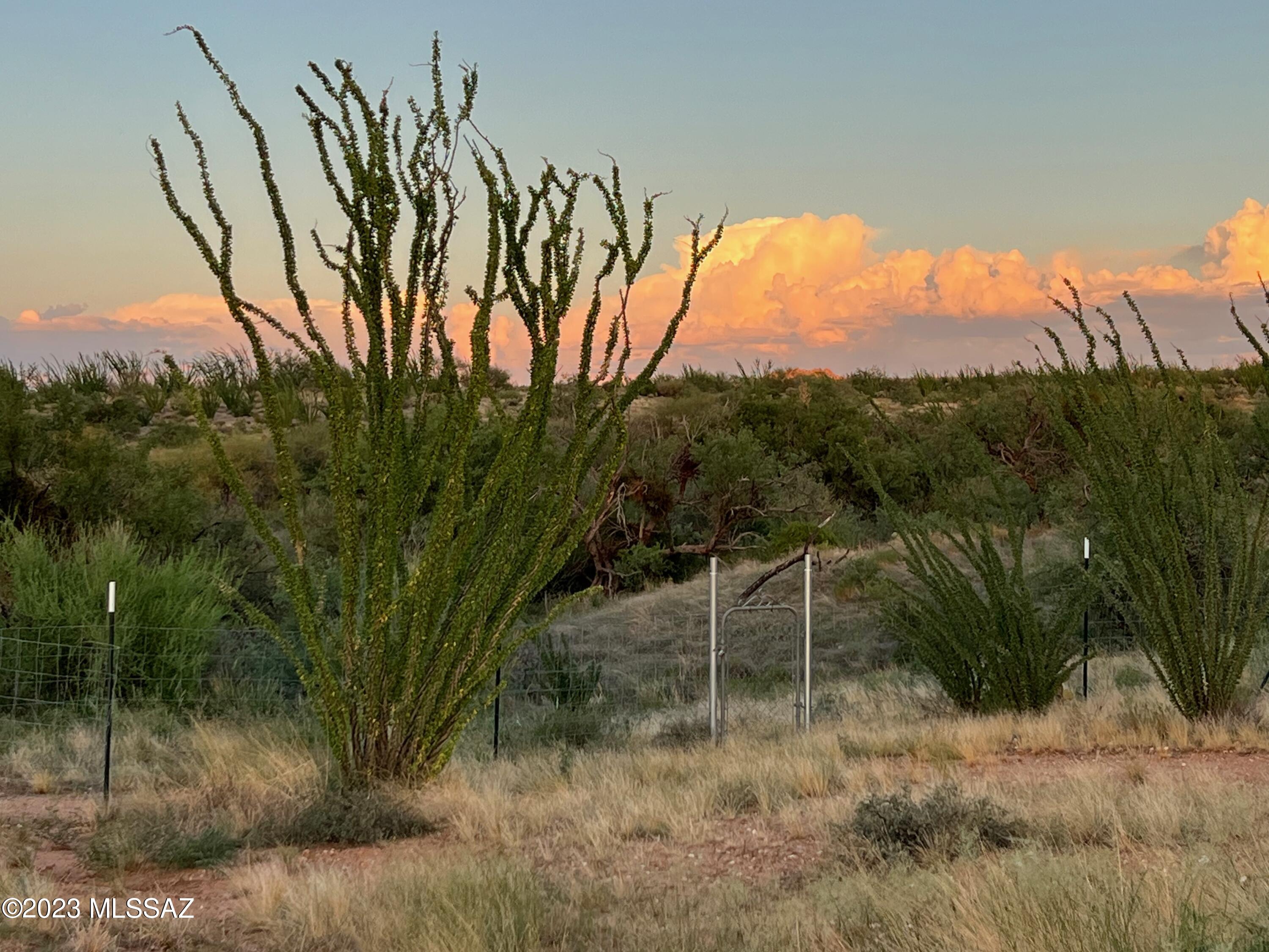 Diamond Bell Ranch - Tucson Unit 7 (1-416) - Land
