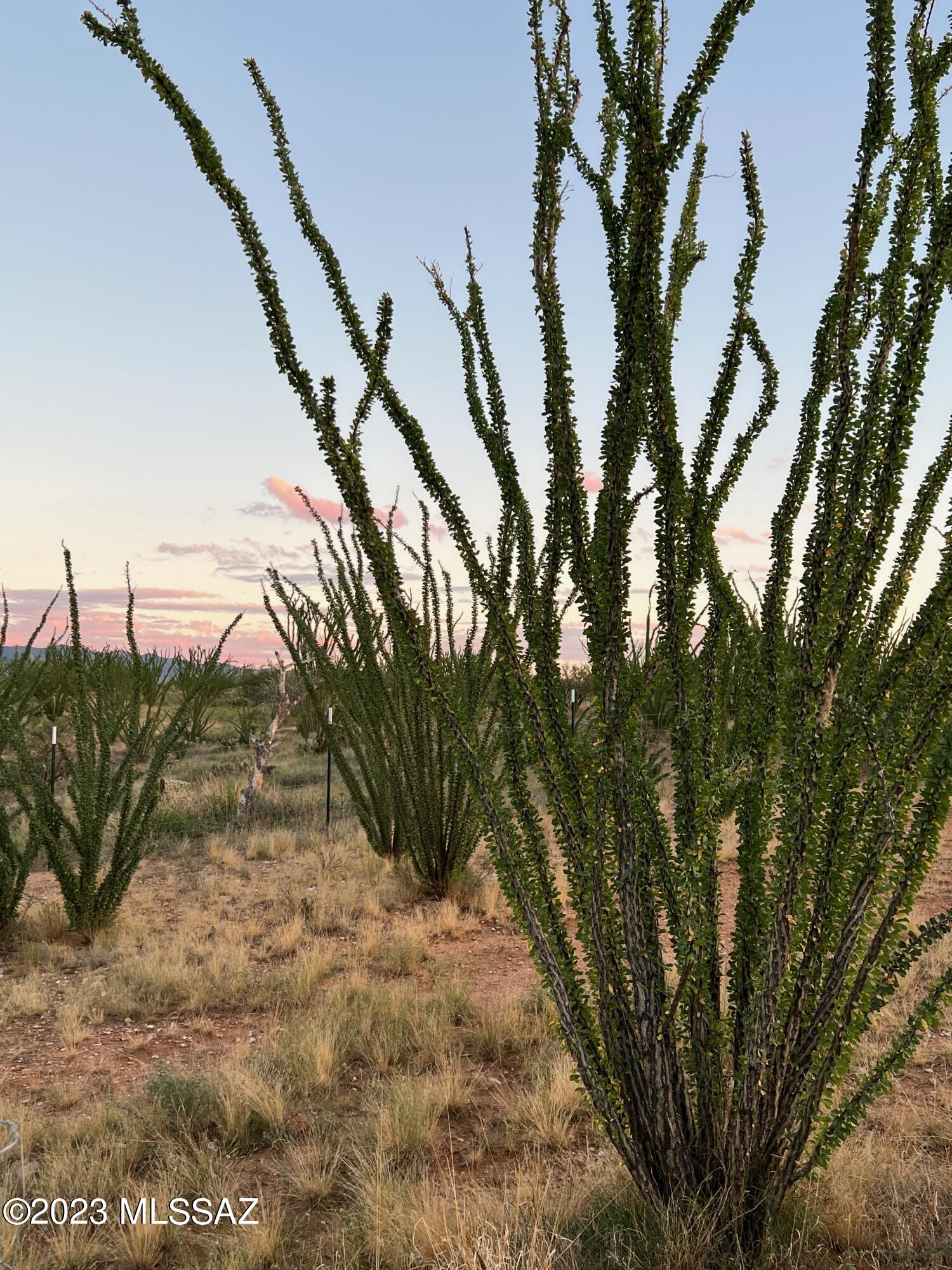 Diamond Bell Ranch - Tucson Unit 7 (1-416) - Land