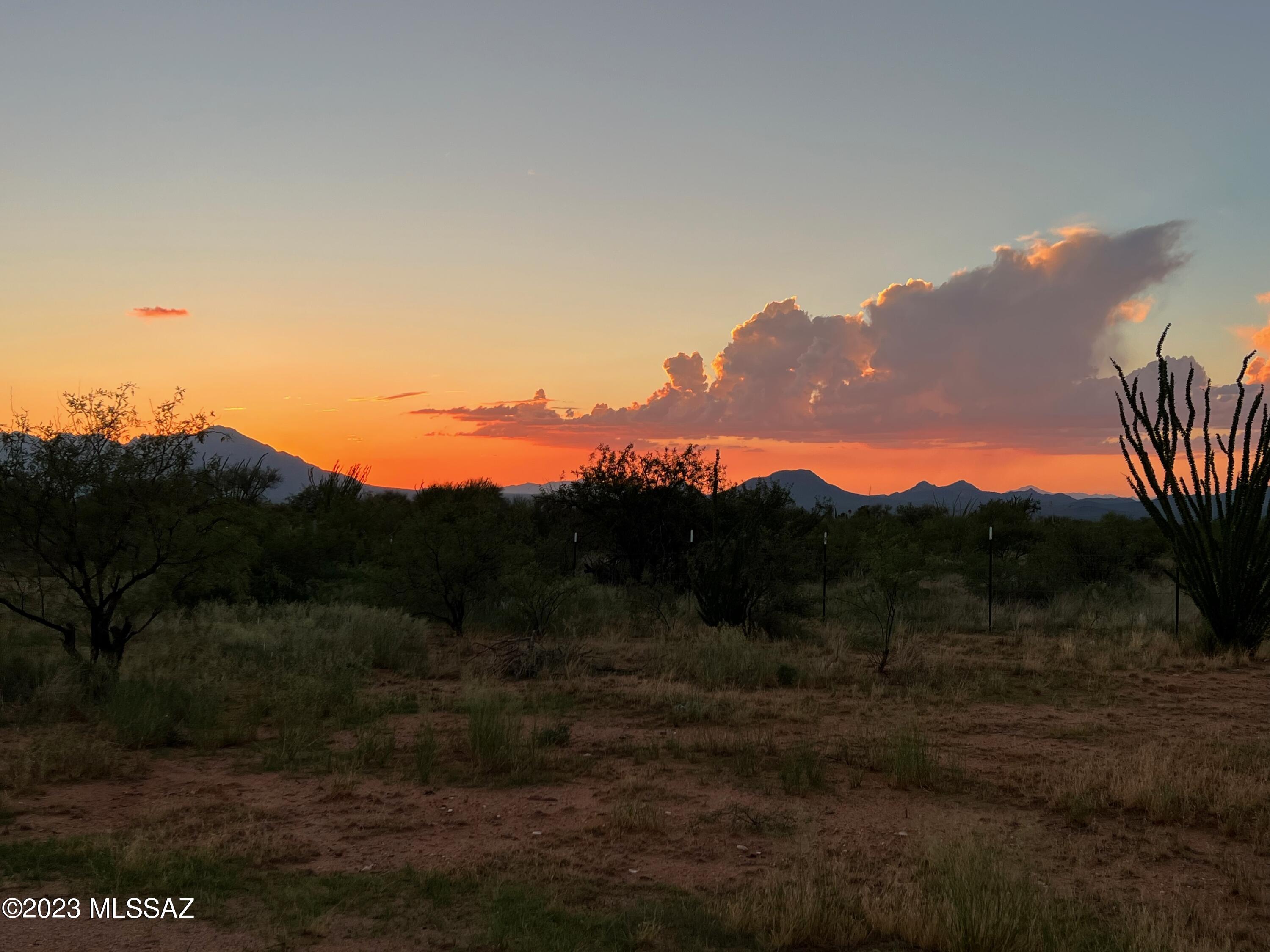 Diamond Bell Ranch - Tucson Unit 7 (1-416) - Land