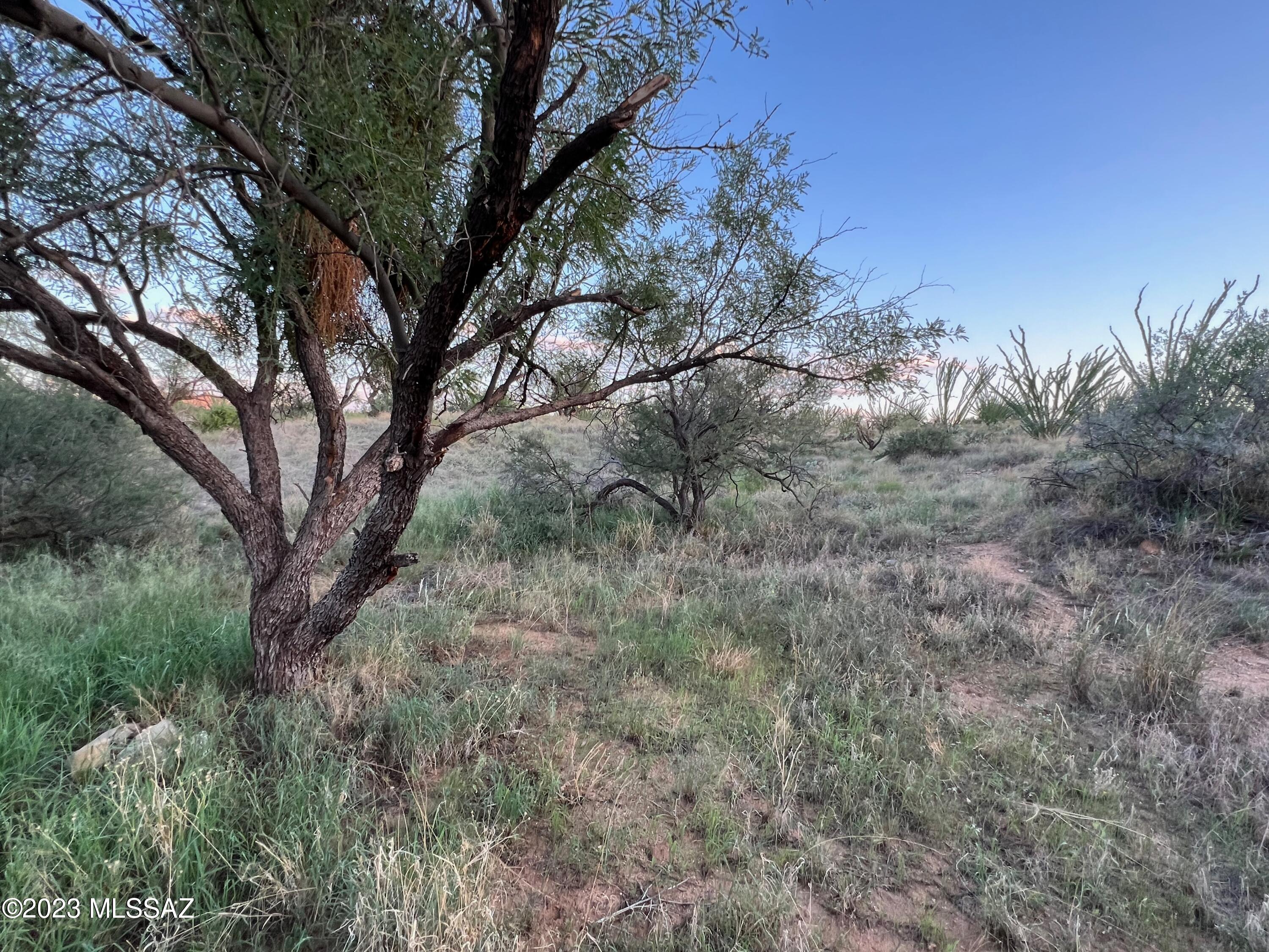 Diamond Bell Ranch - Tucson Unit 7 (1-416) - Land