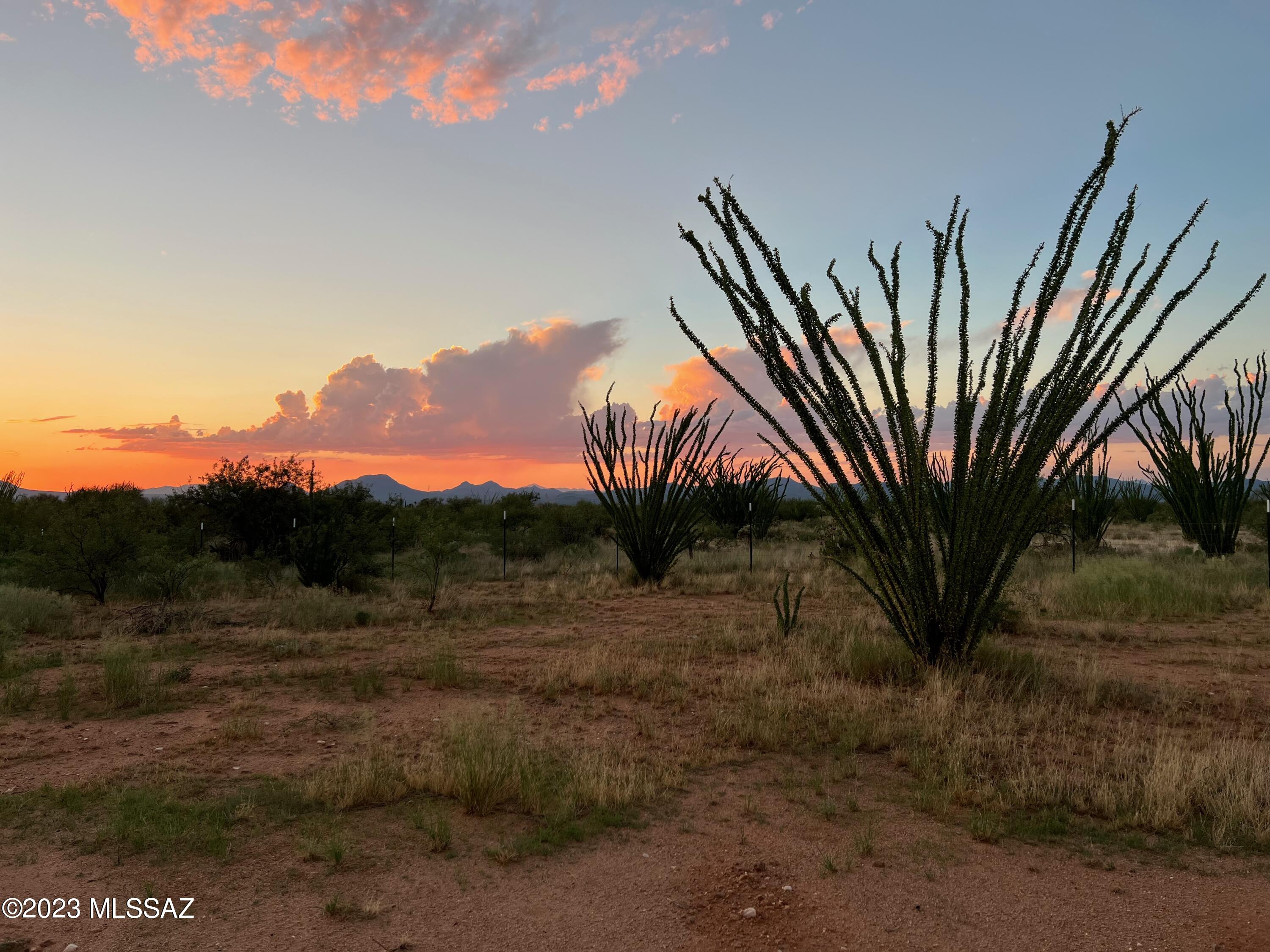 Diamond Bell Ranch - Tucson Unit 7 (1-416) - Land