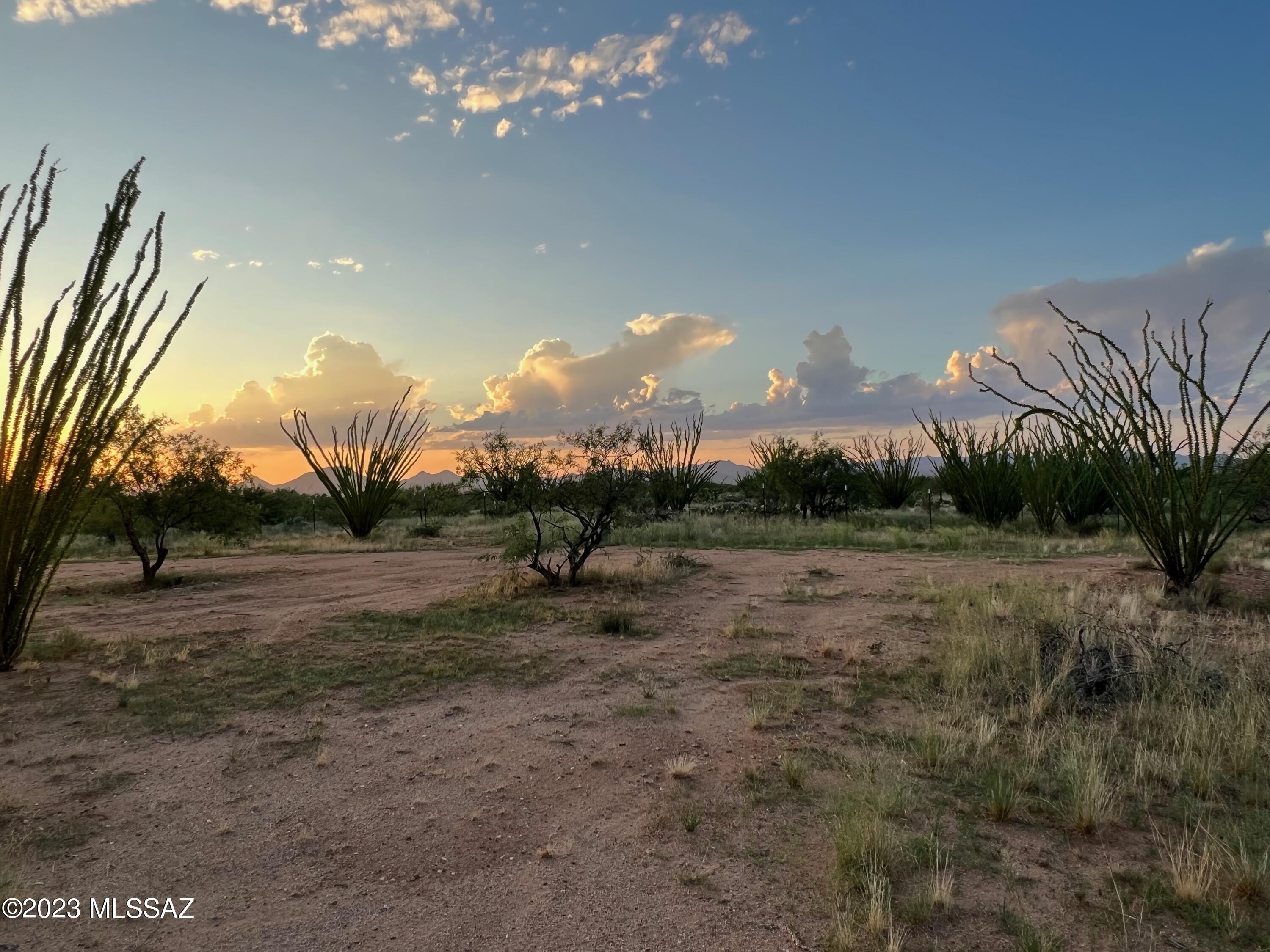 Diamond Bell Ranch - Tucson Unit 7 (1-416) - Land