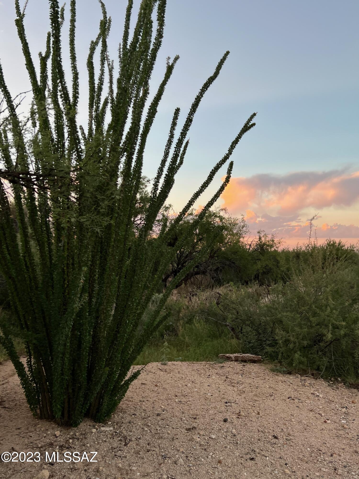 Diamond Bell Ranch - Tucson Unit 7 (1-416) - Land
