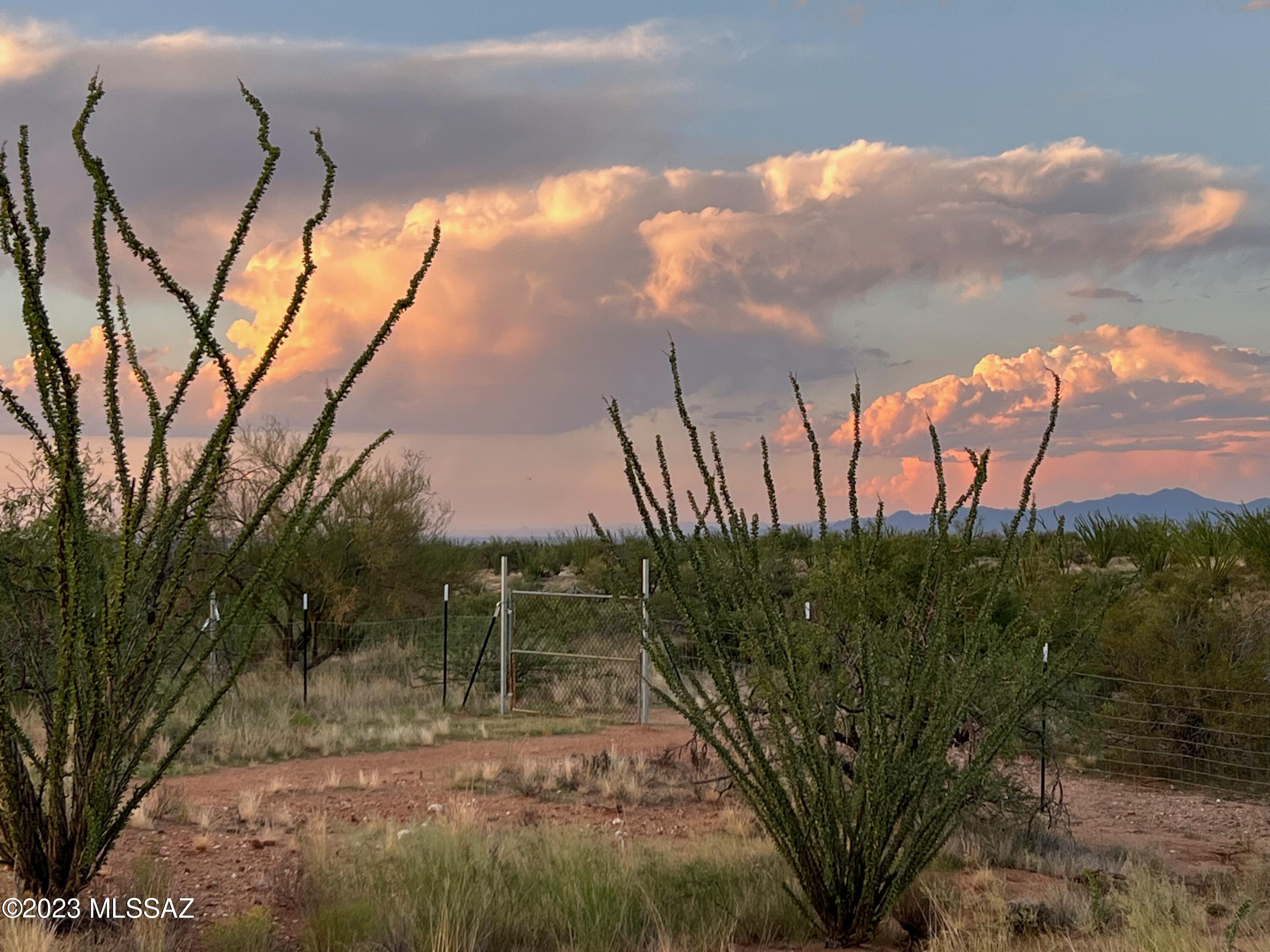 Diamond Bell Ranch - Tucson Unit 7 (1-416) - Land