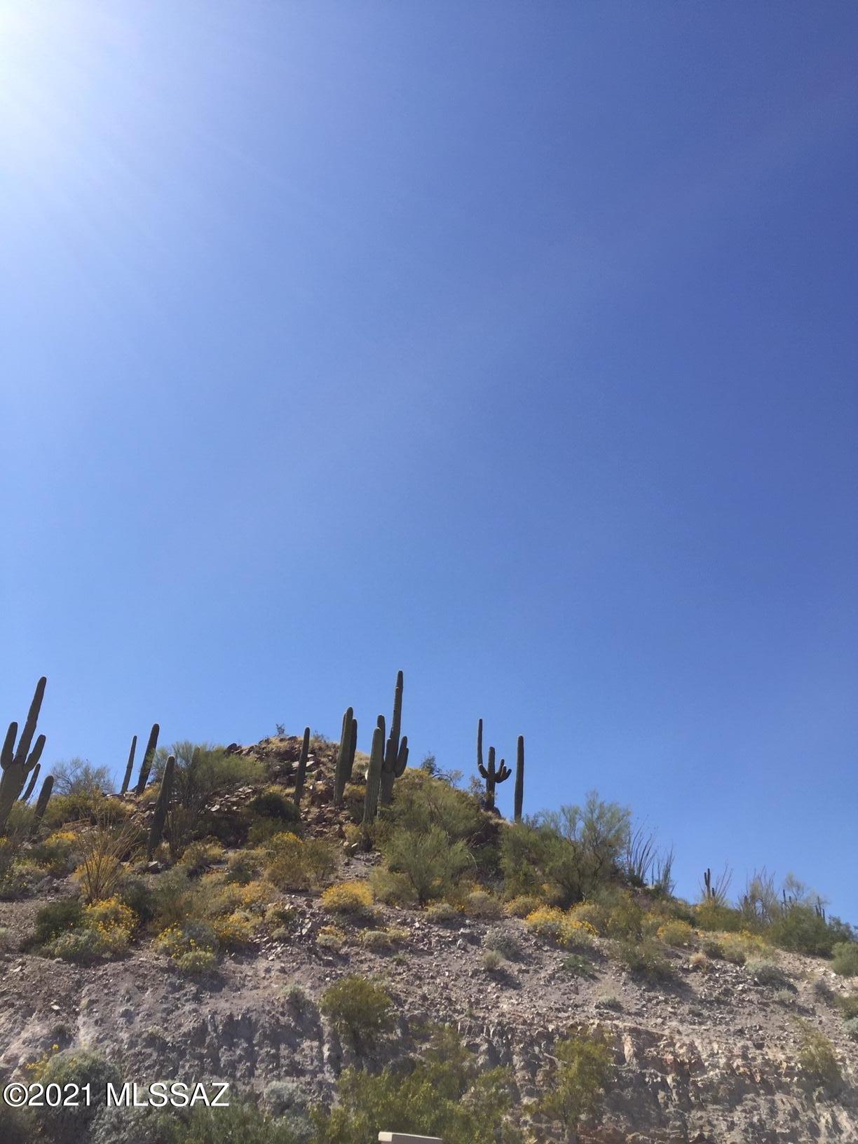 Estates at Starr Pass (The) - Land
