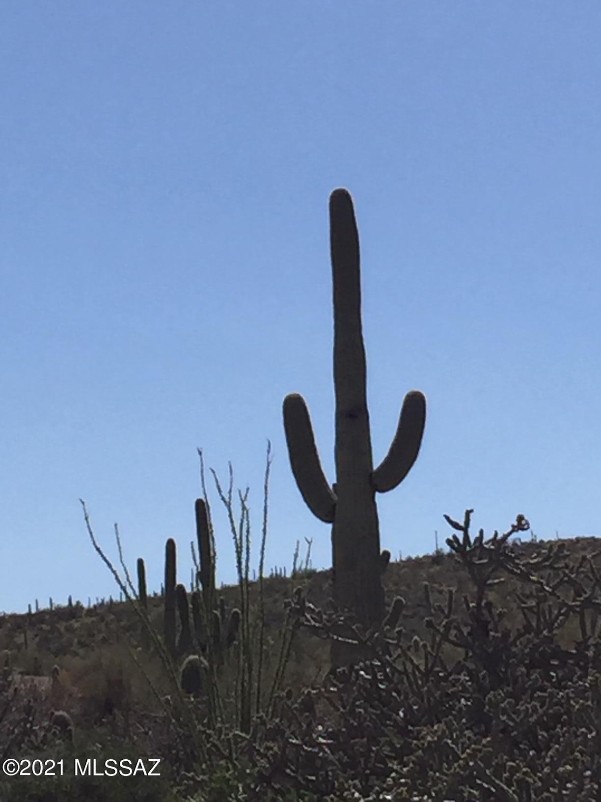 Estates at Starr Pass (The) - Land