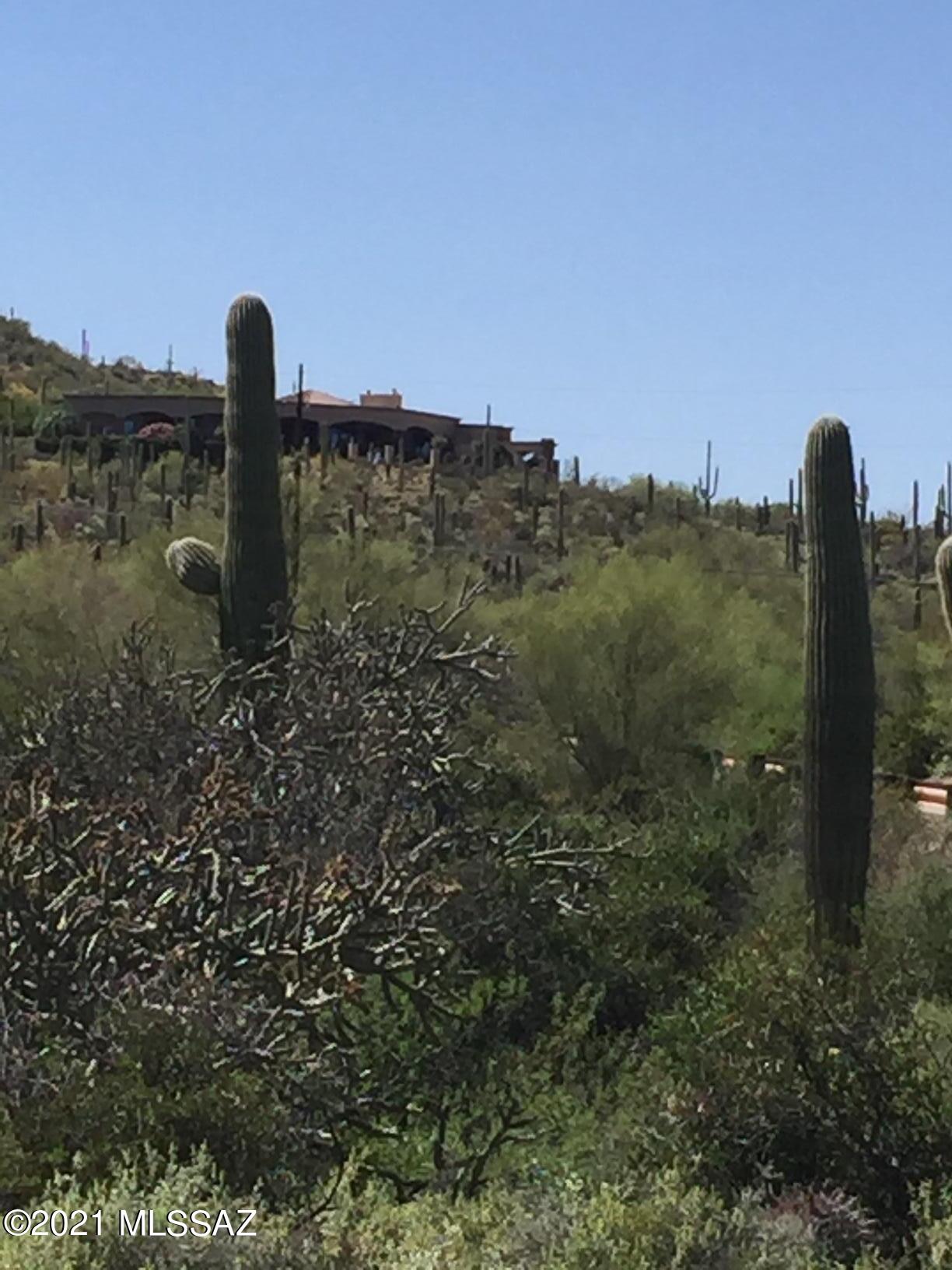 Estates at Starr Pass (The) - Land