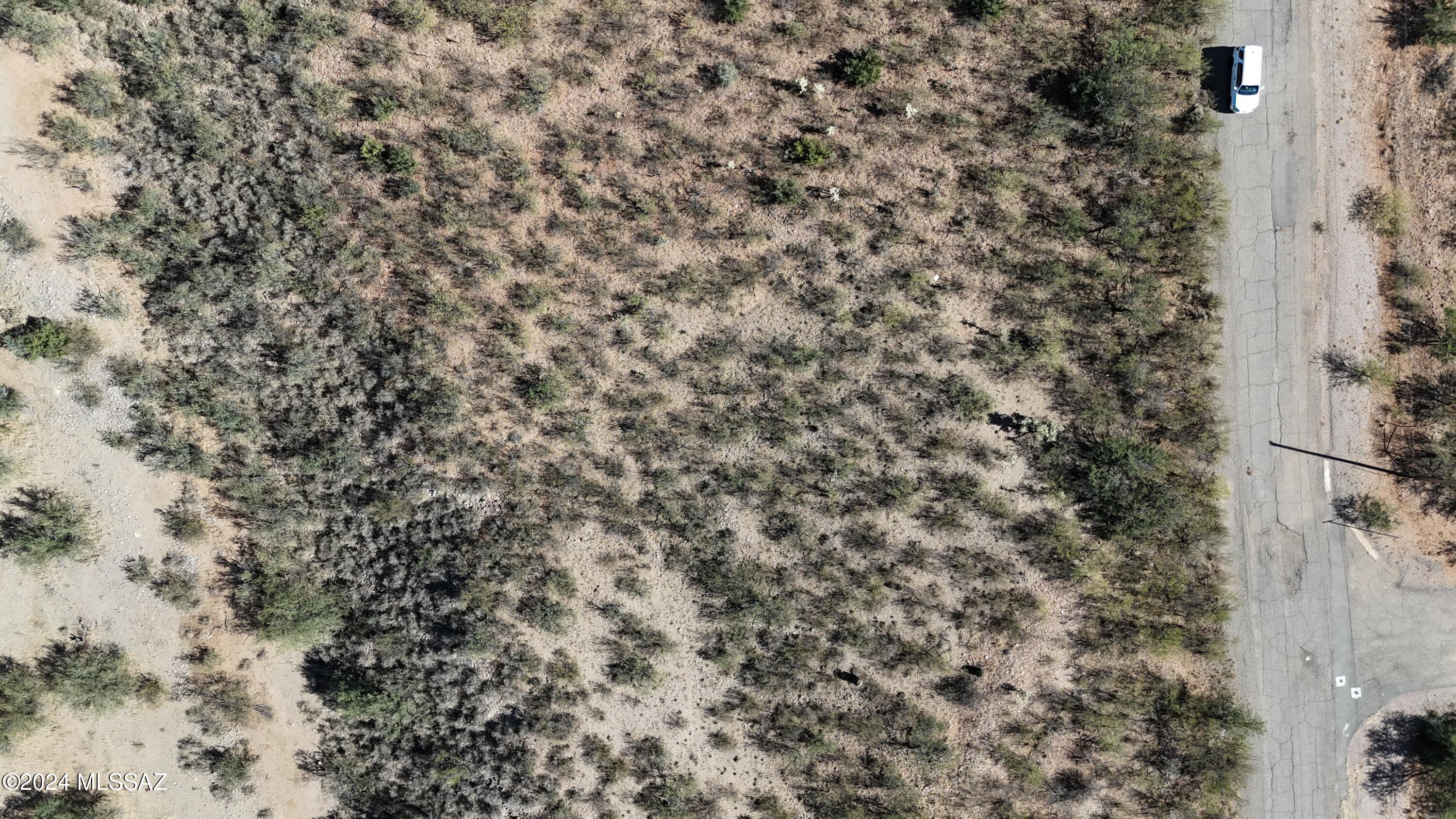 Rio Rico Estates 16 - Land