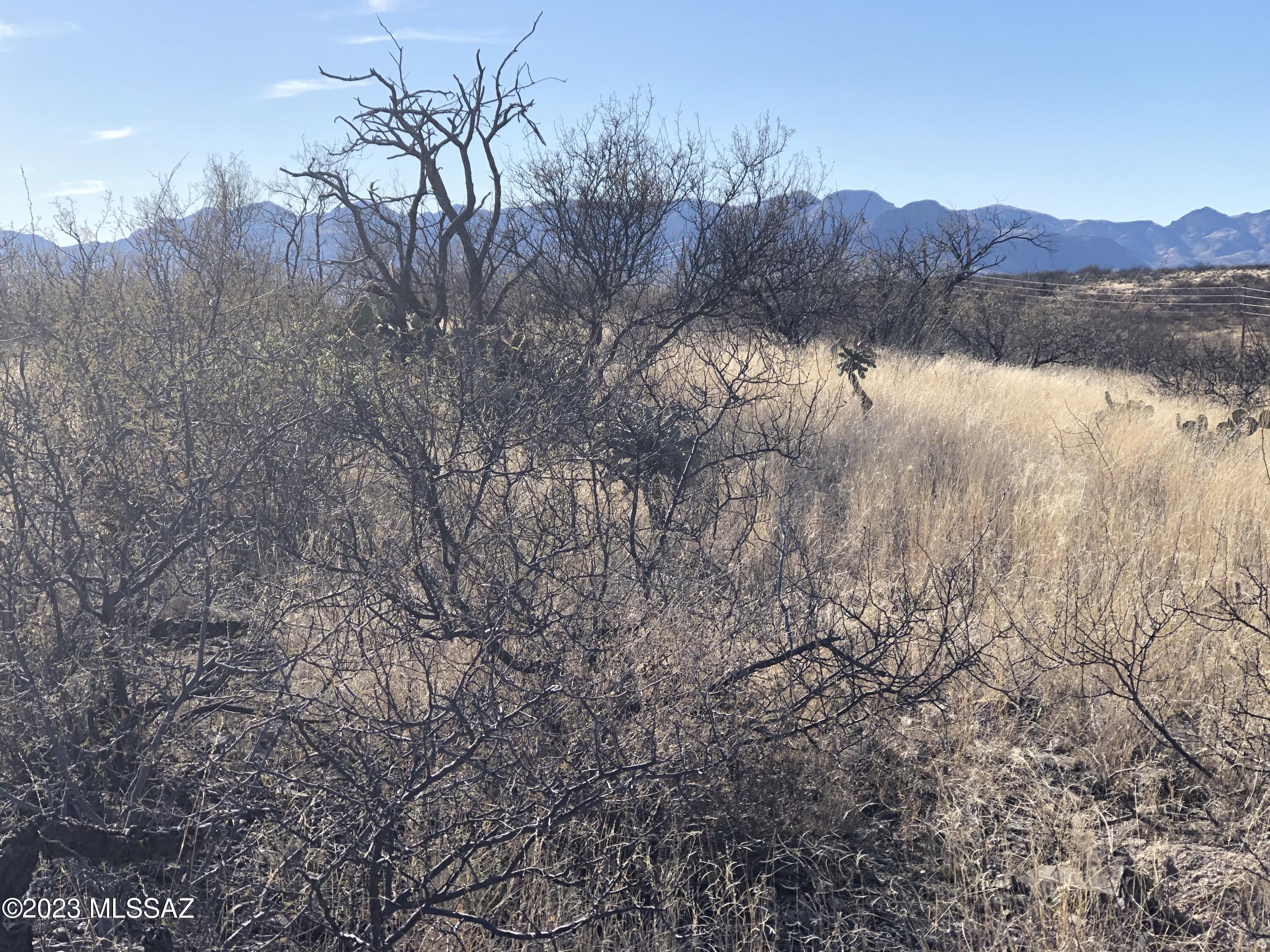 Rio Rico Villas 10 - Land