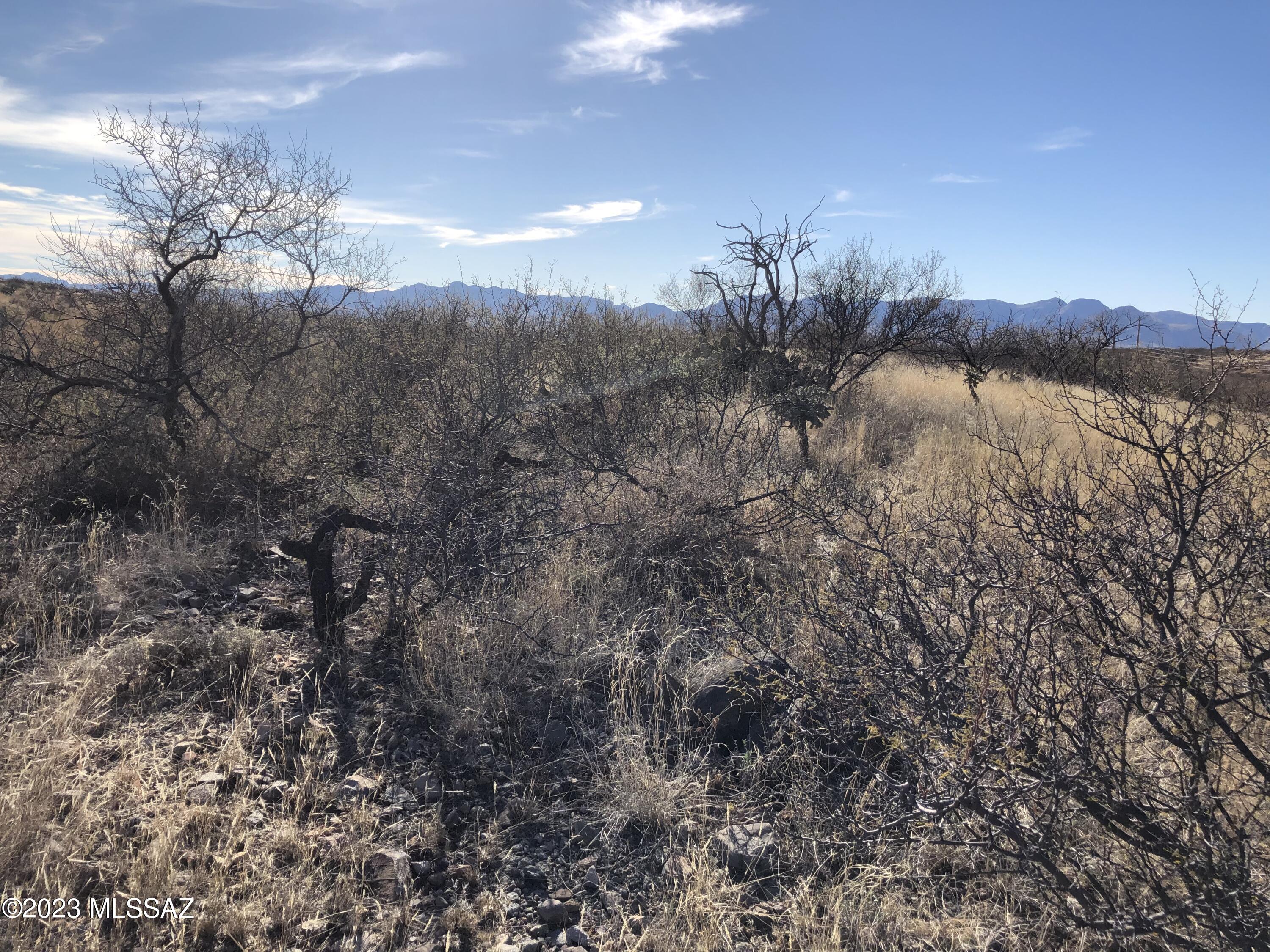 Rio Rico Villas 10 - Land