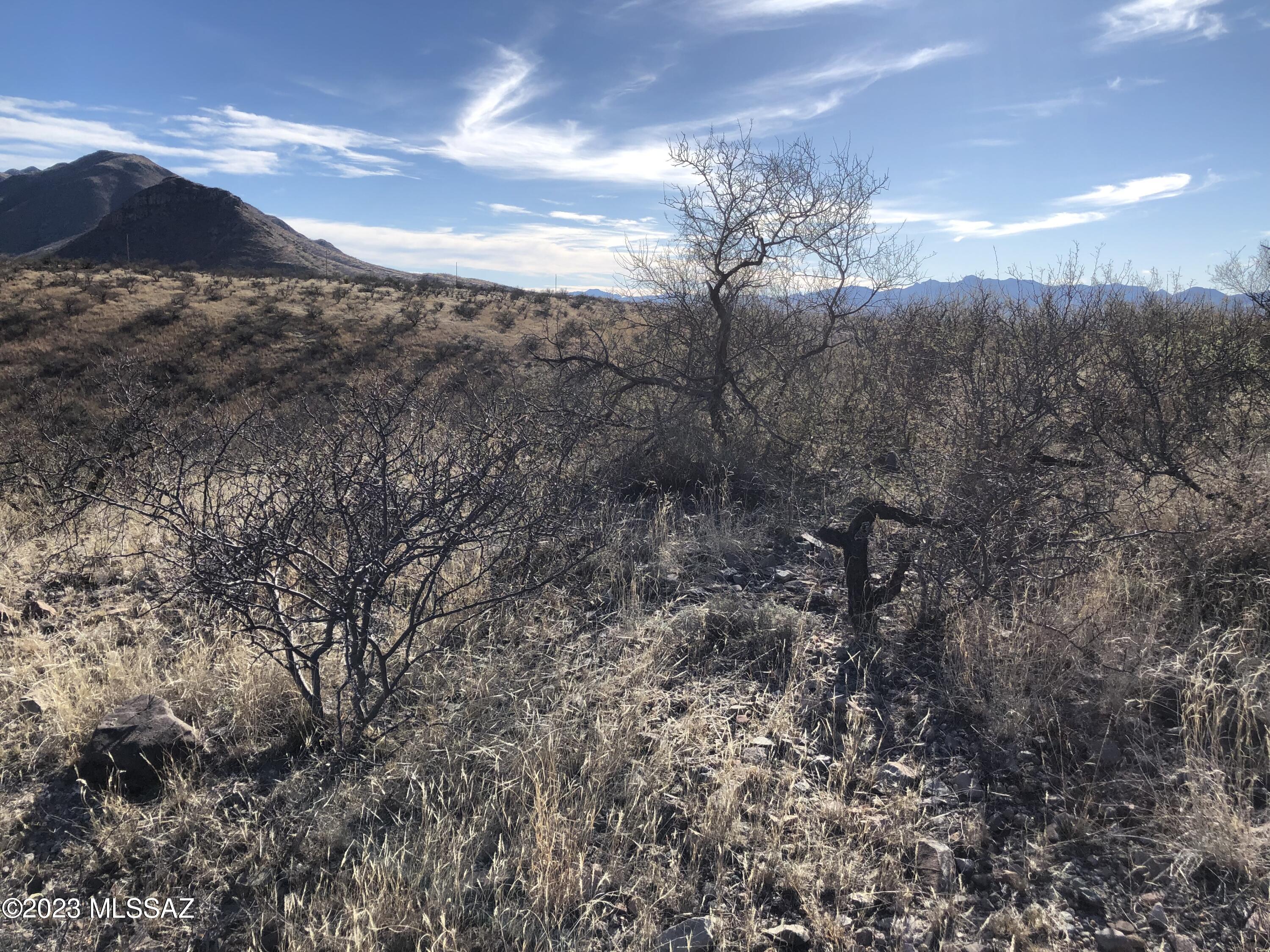 Rio Rico Villas 10 - Land