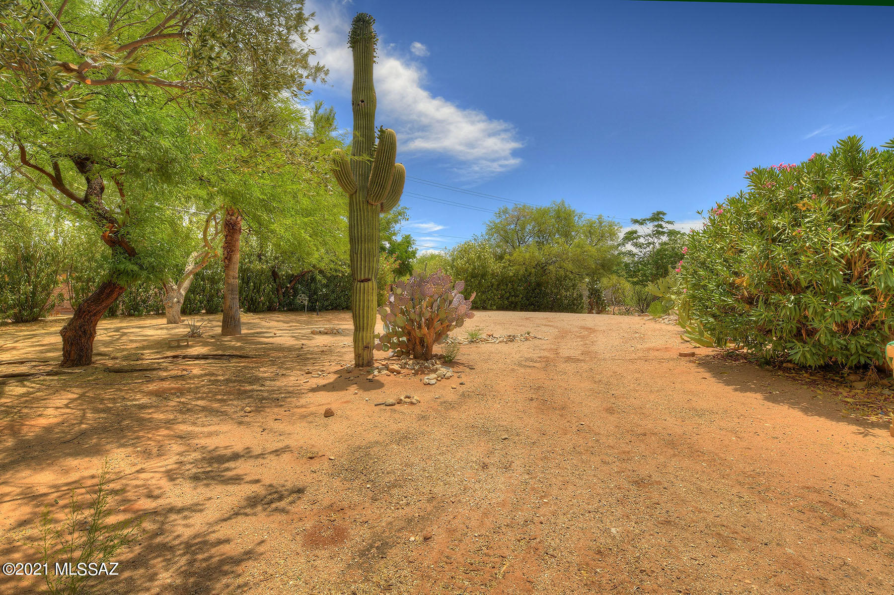 Casas Adobes Estates (401-447) - Residential