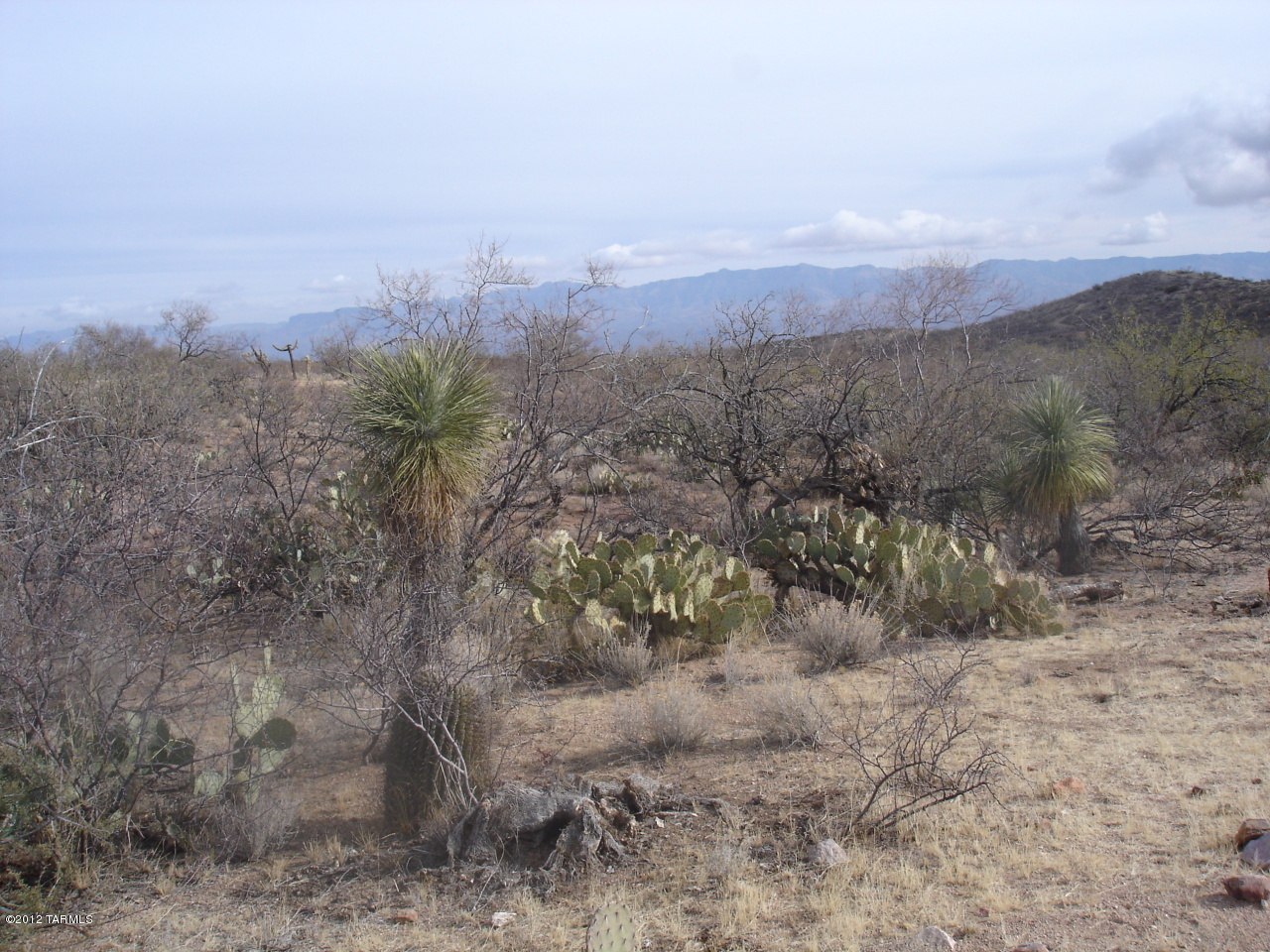 Rural property with all the amenities of the country. 1/5th shared well. Requires a septic system. Place a stick built, manufactured or mobile home on your horse property. Plenty of room for your corrals, barn and garages for your toys. Great outdoor ambiance surrounded by high desert and local wildlife. 4 contiguous can be purchased together.