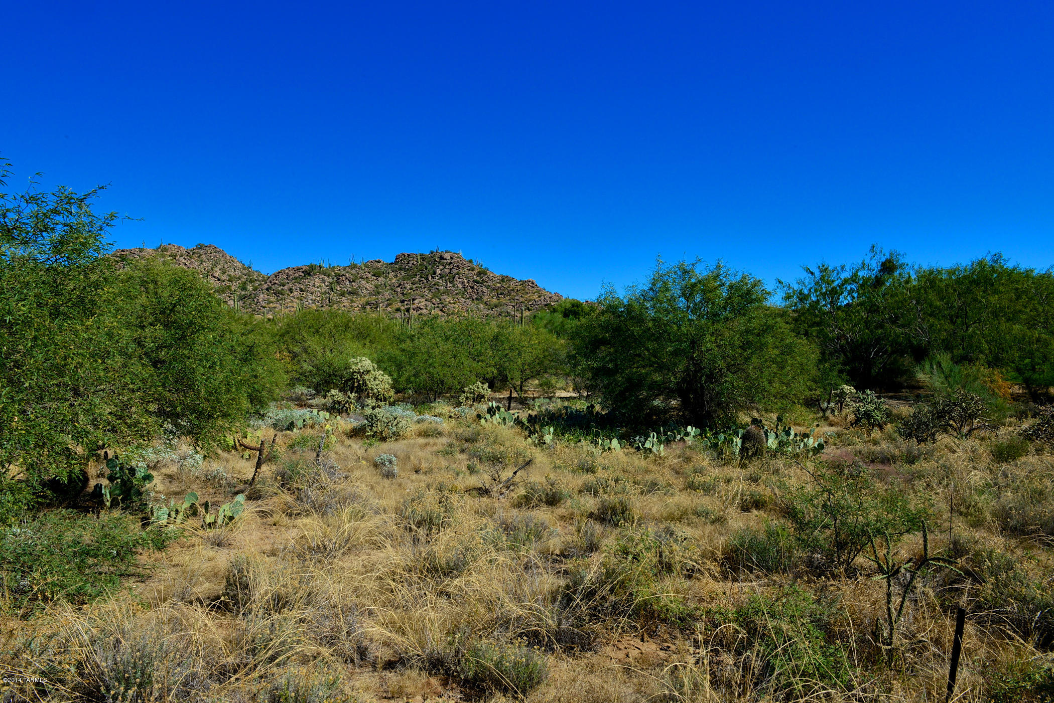 Stone Canyon I - Land