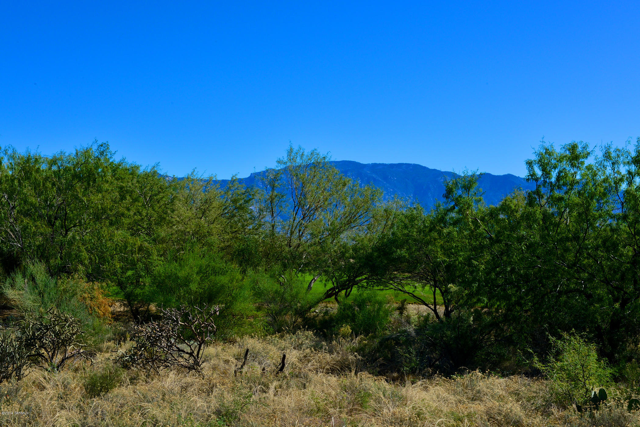 Stone Canyon I - Land