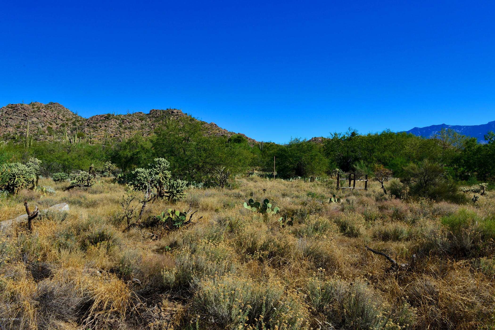 Stone Canyon I - Land