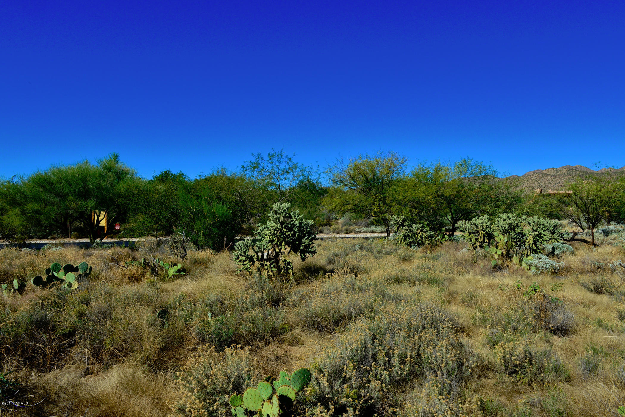 Stone Canyon I - Land