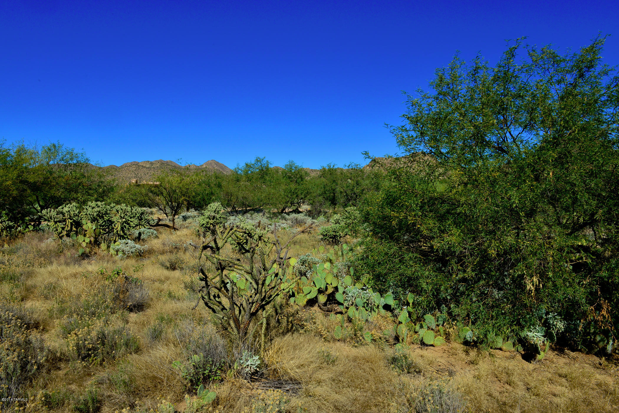 Stone Canyon I - Land