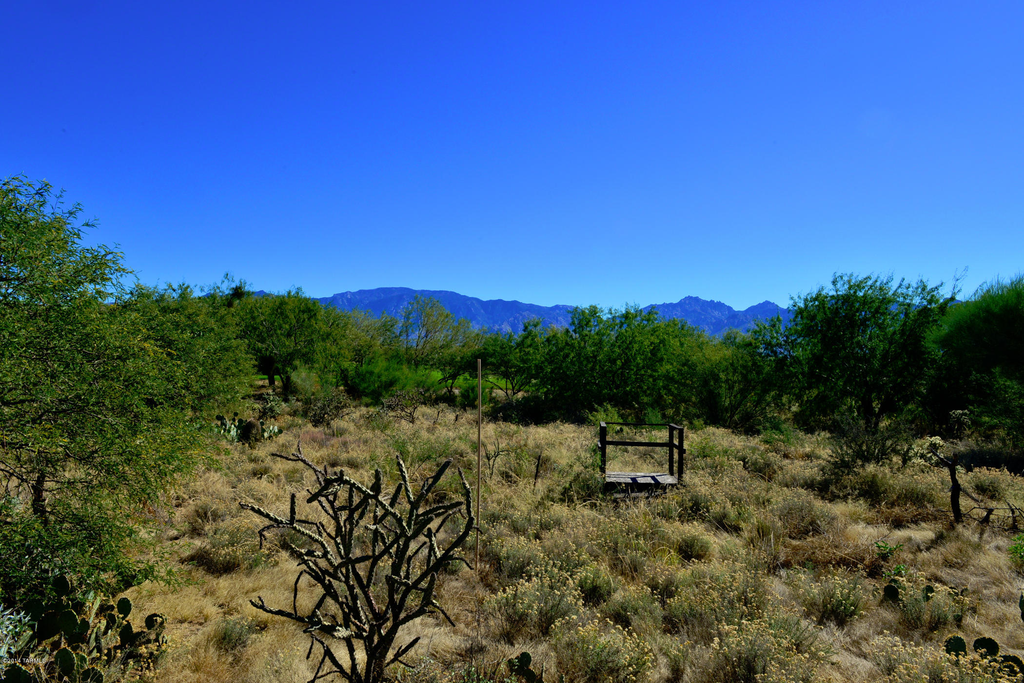Stone Canyon I - Land