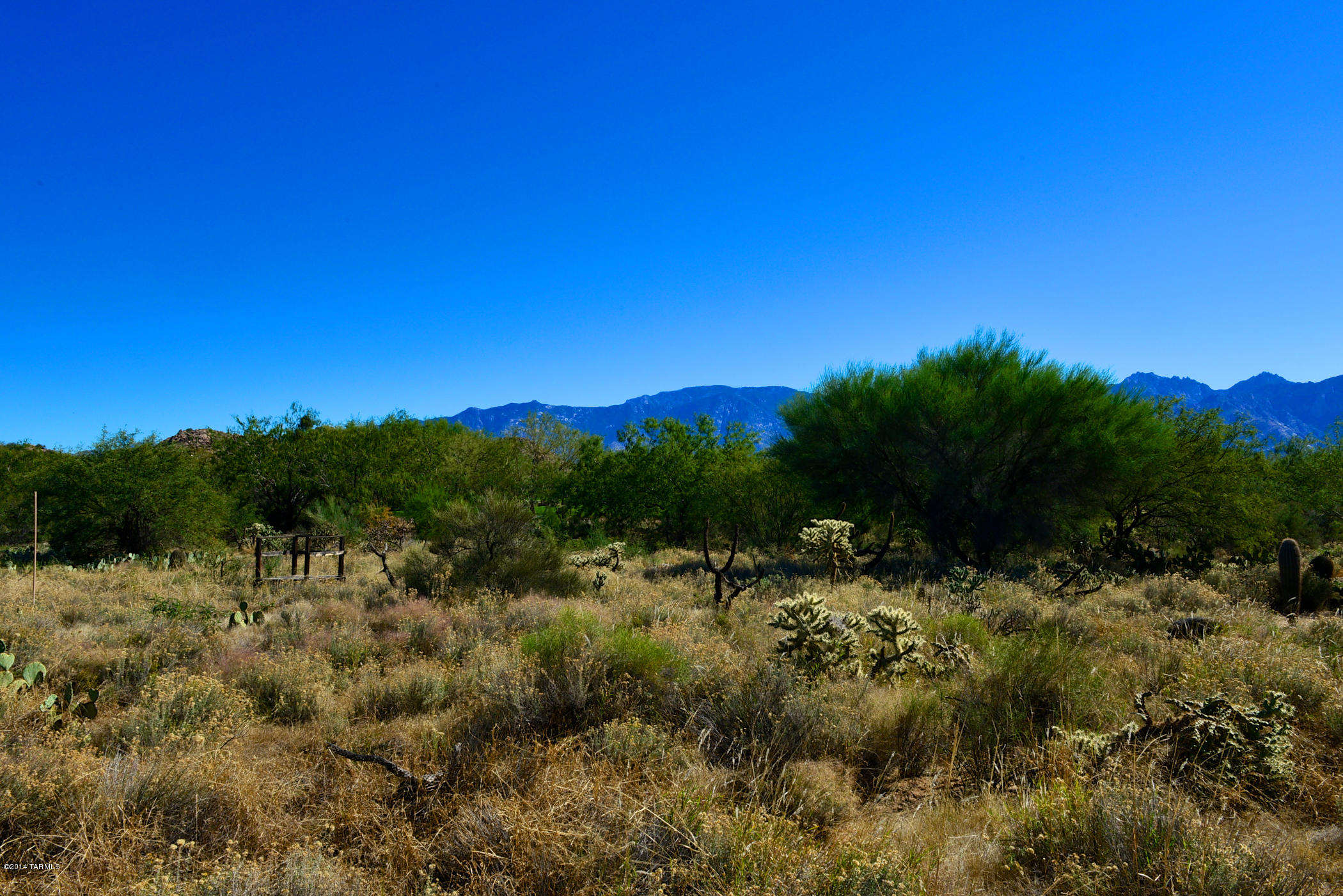 Stone Canyon I - Land