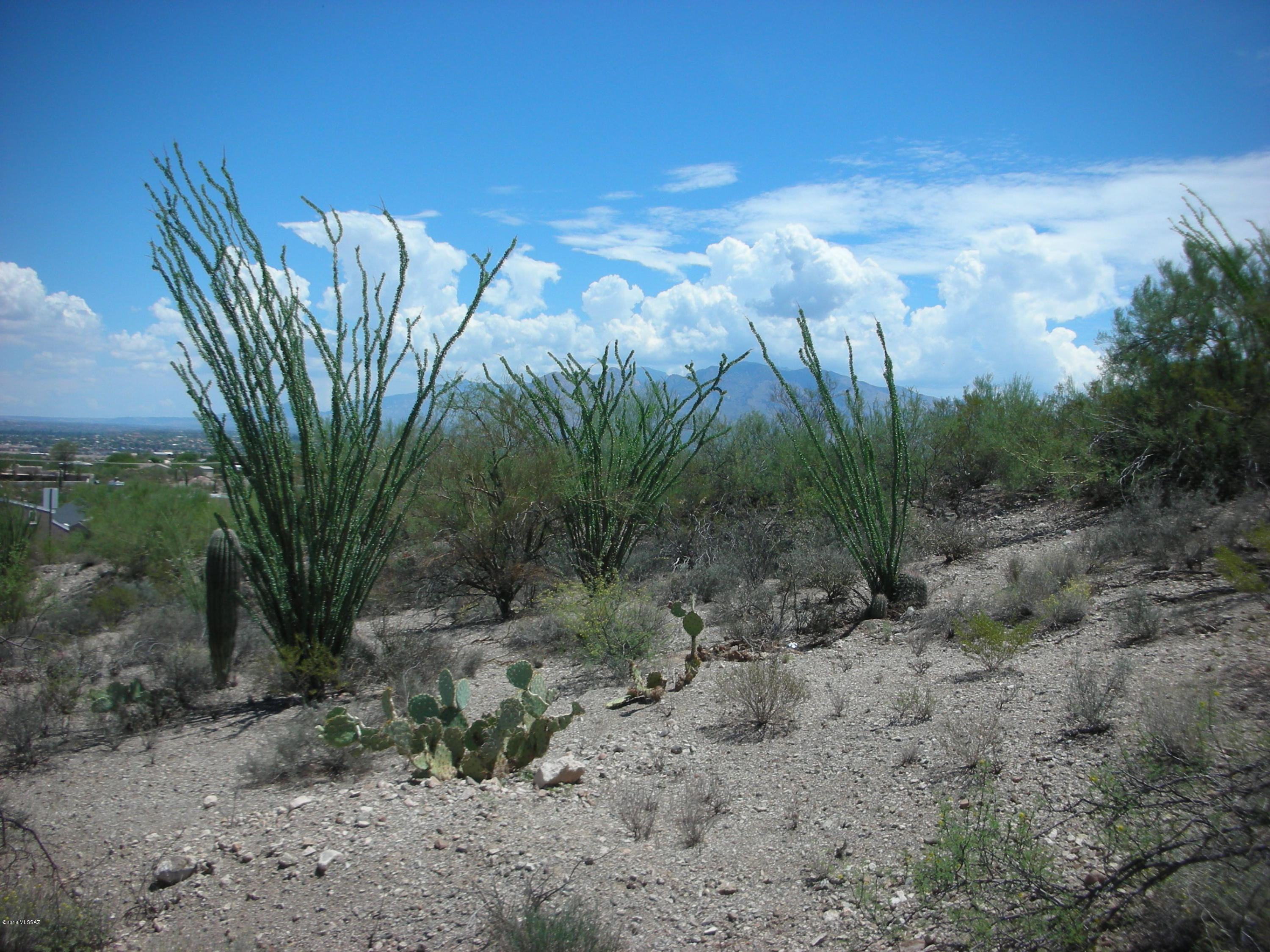 AFFORDABLE westside ACRE with BIG, UNOBSTRUCTED VIEWS of the CATALINAS, TUCSON  and TORTOLITA MTNS.  Enjoy VALLEY LIGHTS at night. GENTLY SLOPED,  for walkout level or single story. NORTH-SOUTH ORIENTATION. All surrounding homes are built in this established area with QUICK access to the I-10 Freeway and Downtown Tucson.  All underground utilities, septic required, Comcast service and no HOA.  Not many GOOD LOTS left under $100K- THIS IS ONE! Ask about EXCELLENT lot loan financing.