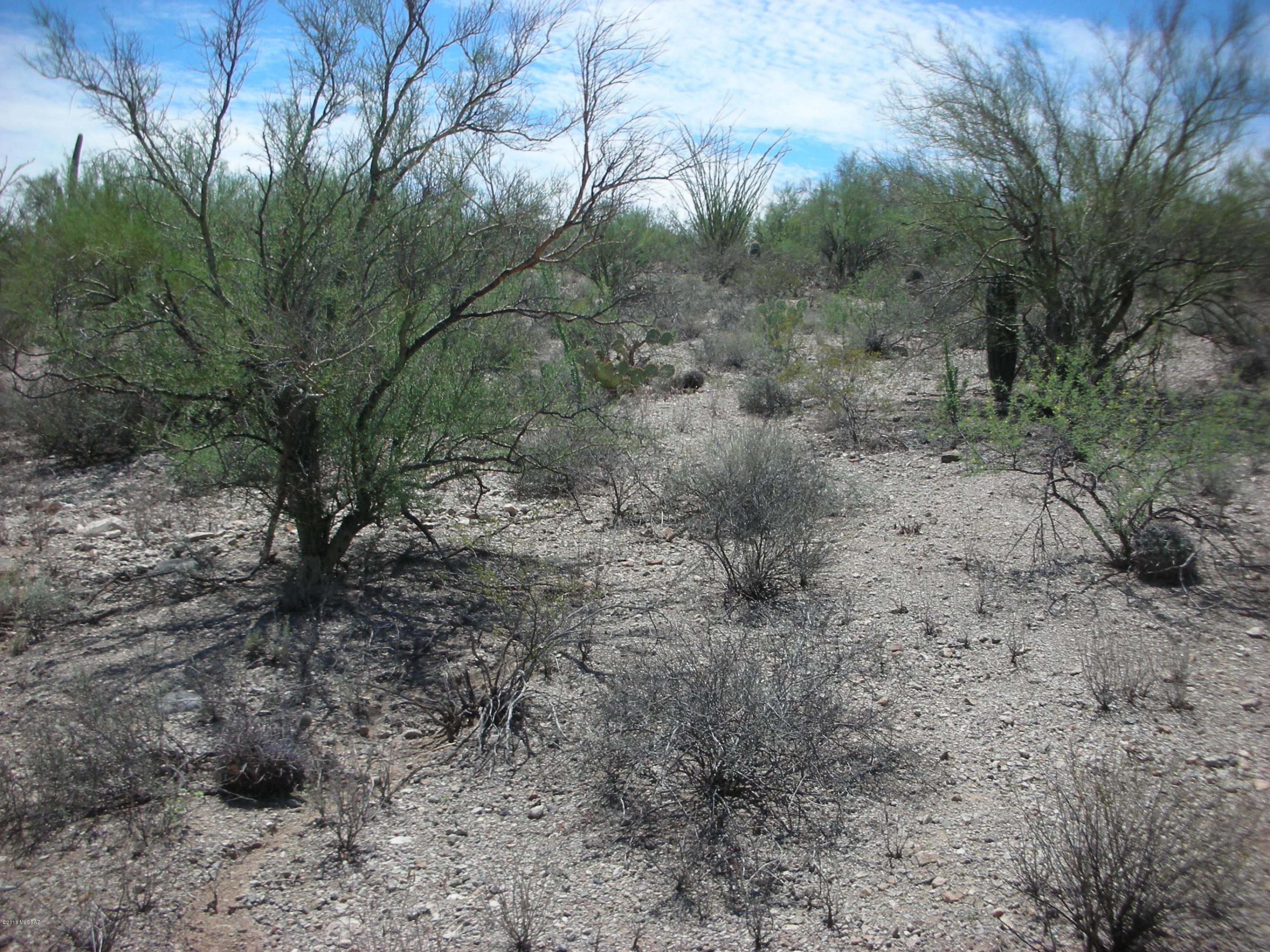 Del Cerro Estates (1-26) - Land
